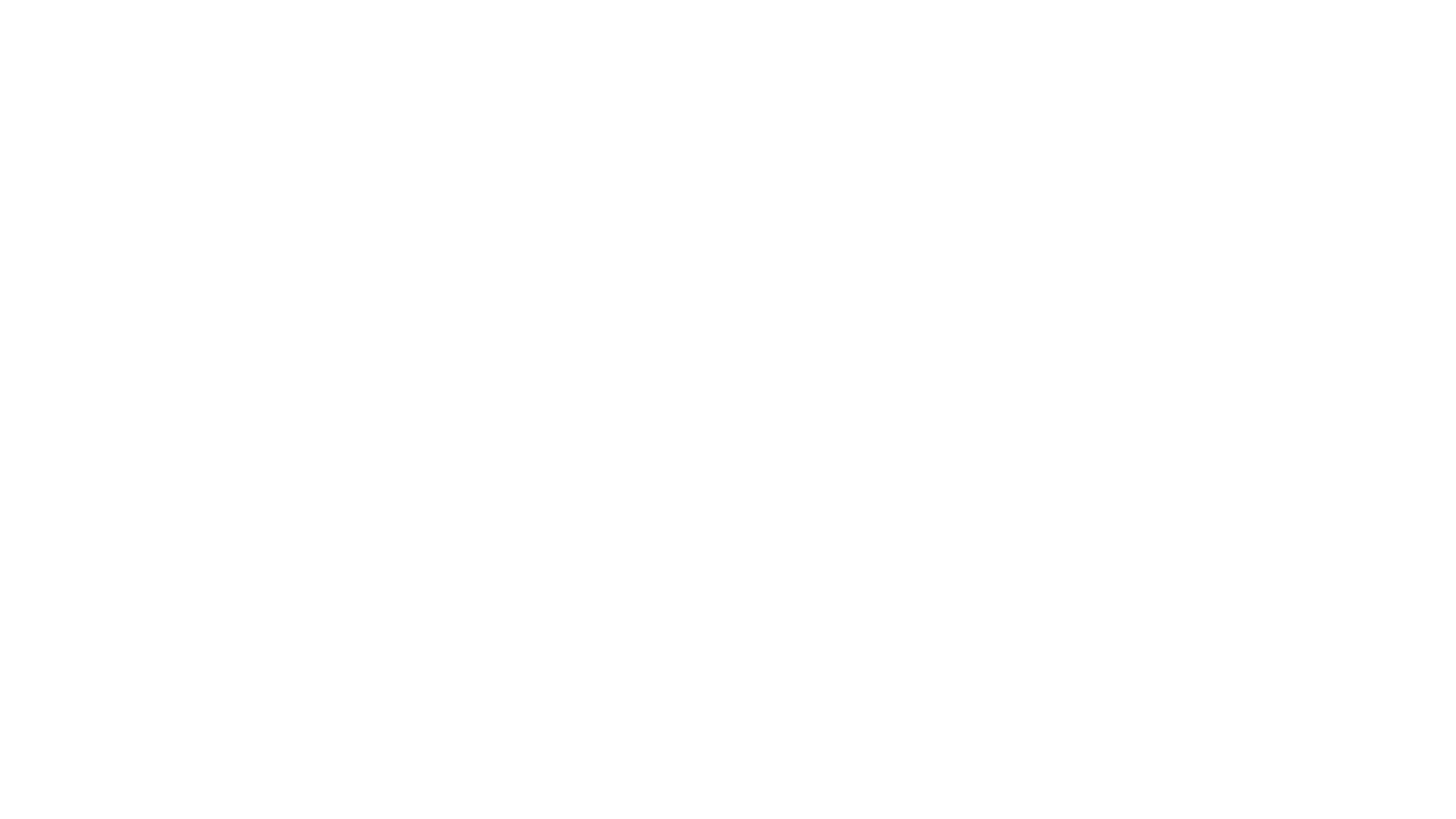 Mini Version