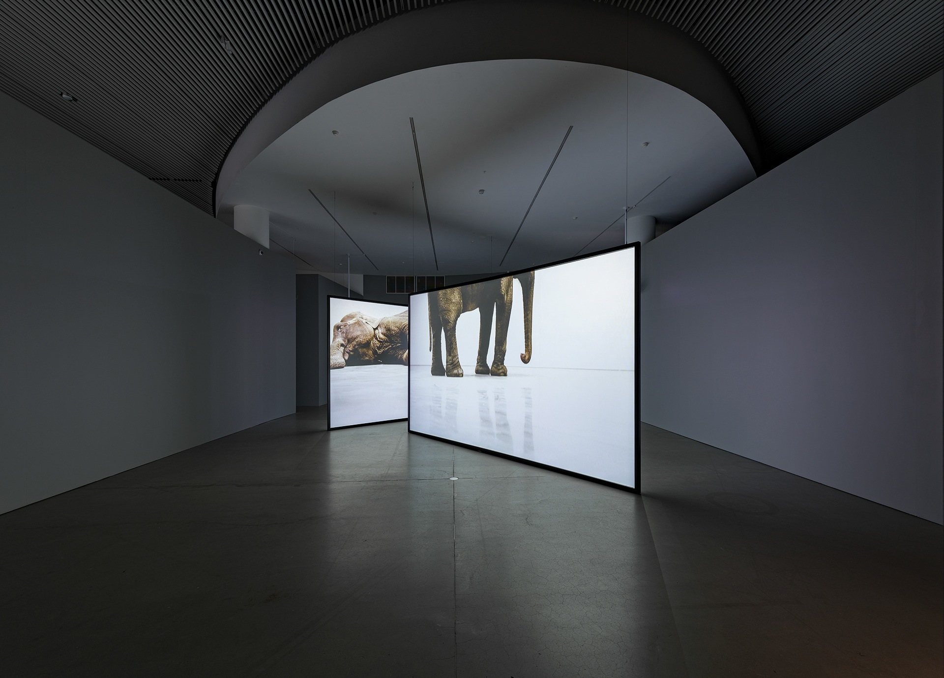 Play Dead; Real Time, 2003. ARoS, Århus, 2019