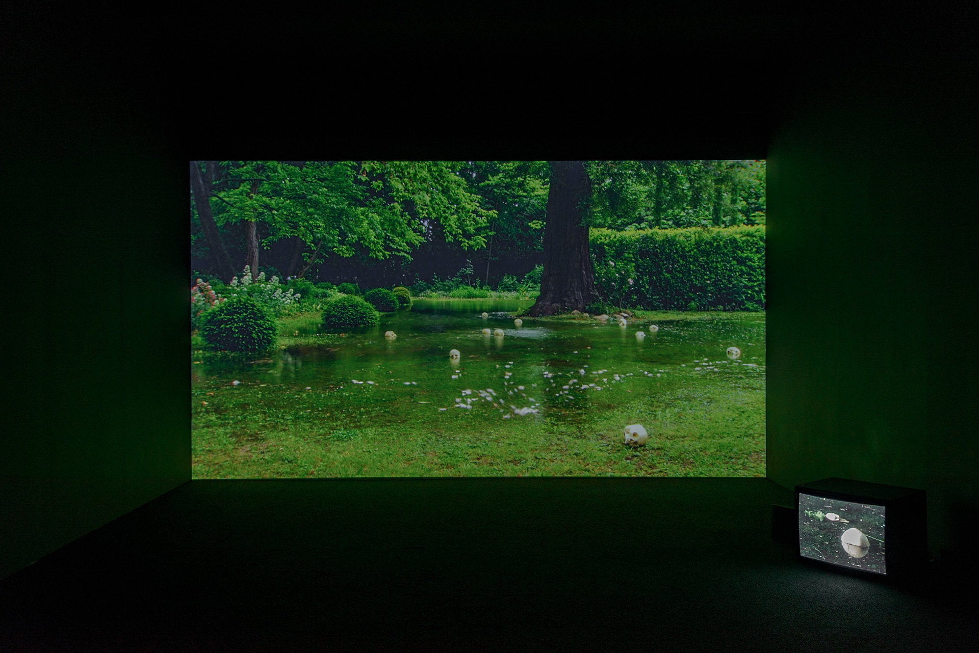 Îles flottantes, (If Monet Met Cézanne, in Montfavet), 2008. Instituto Moreira Salles, São Paulo, 2018