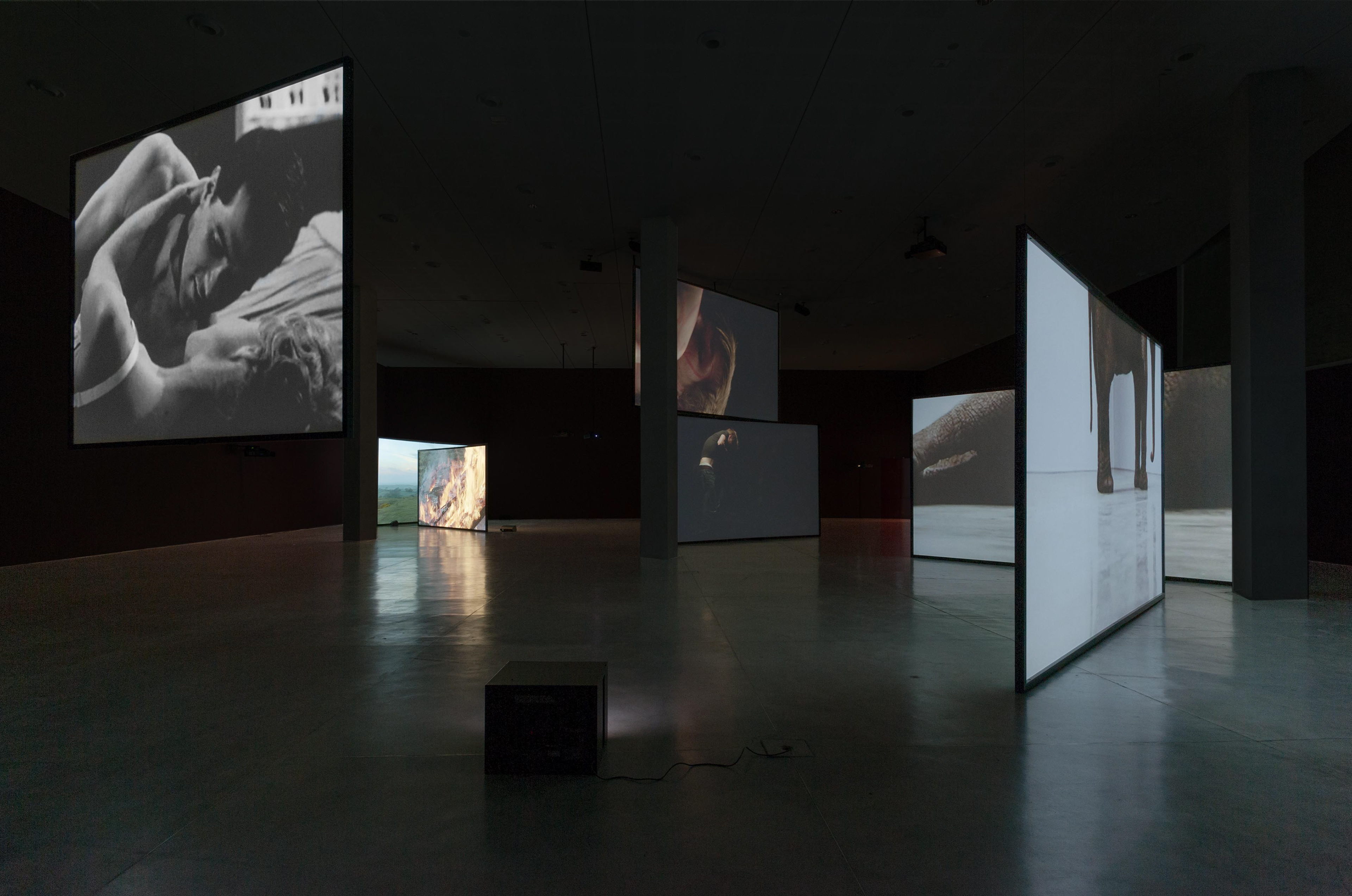 Installation view "I'm also... Douglas Gordon", Tel Aviv Museum of Art, 2013