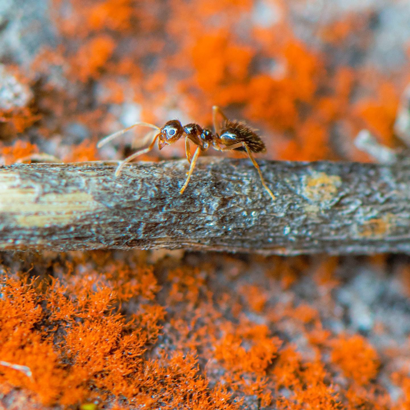 washington park, portland 2023