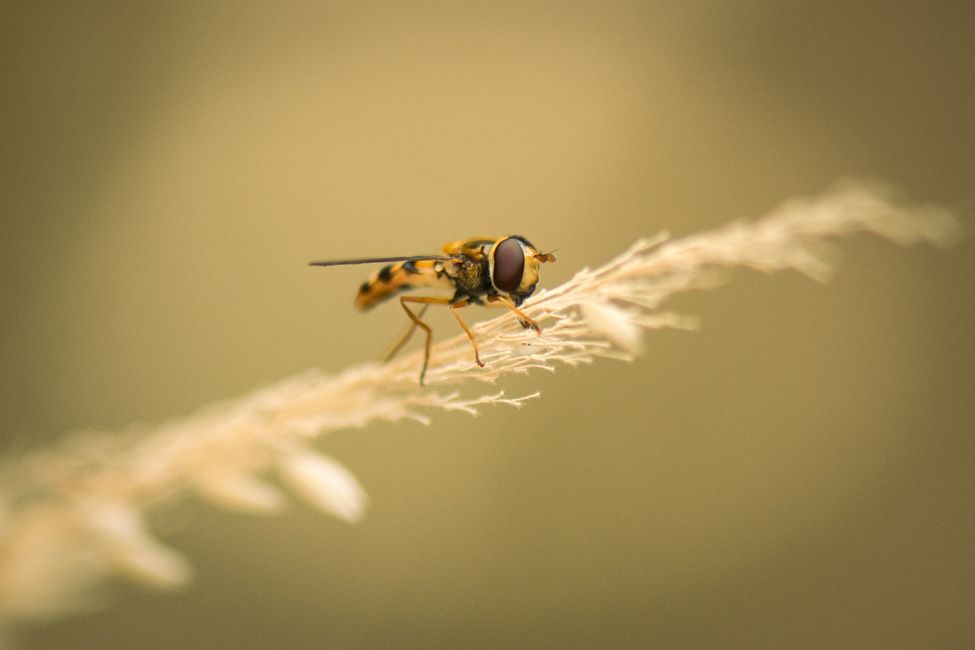 washington park, 2021