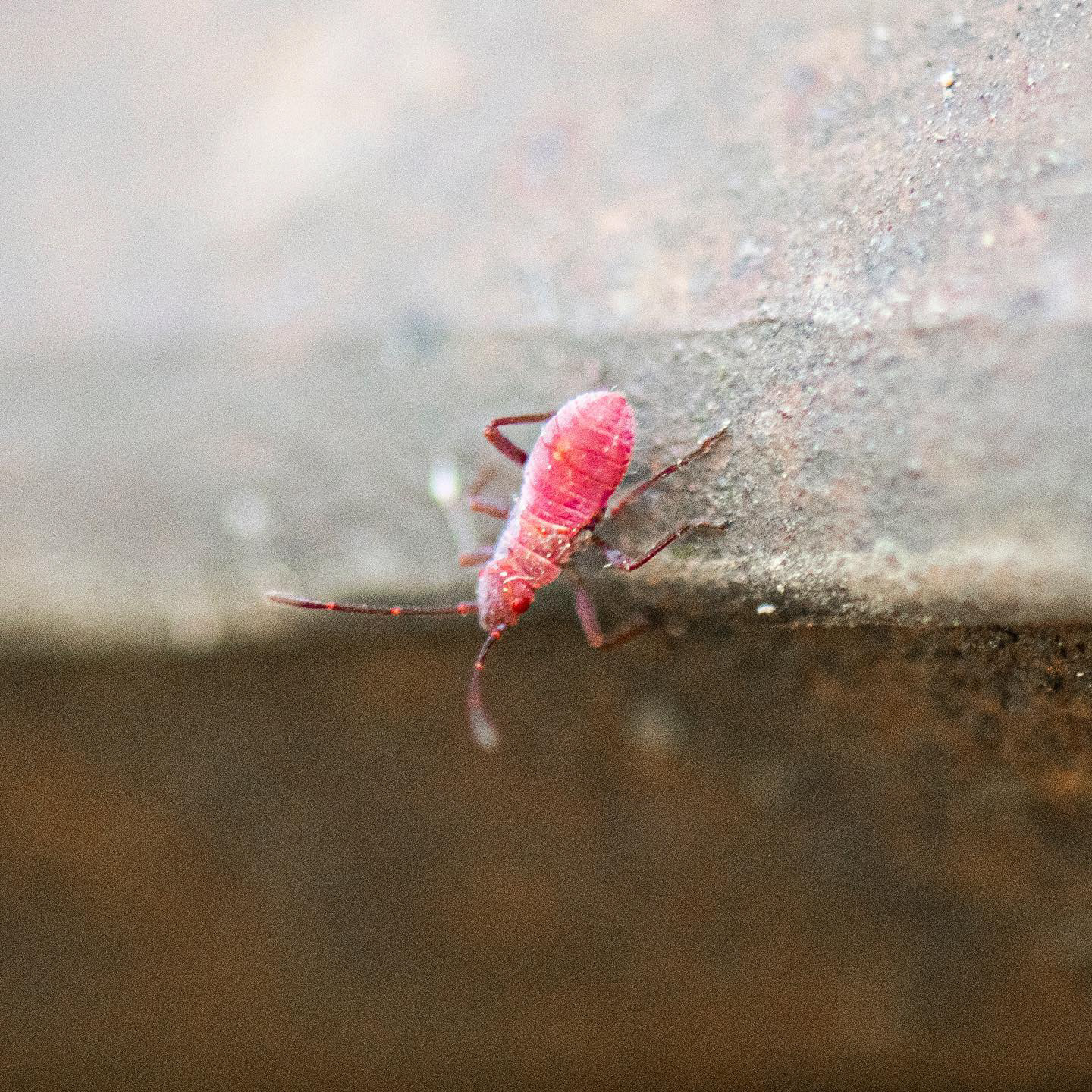 washington park, portland 2023