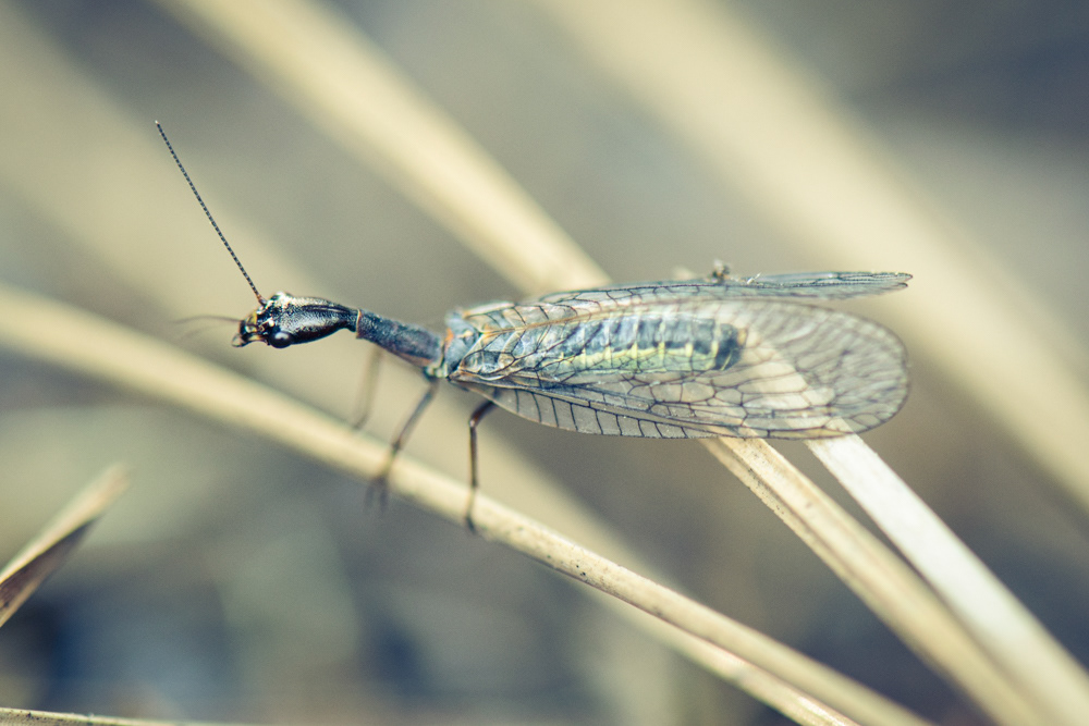 big lake washington, 2021