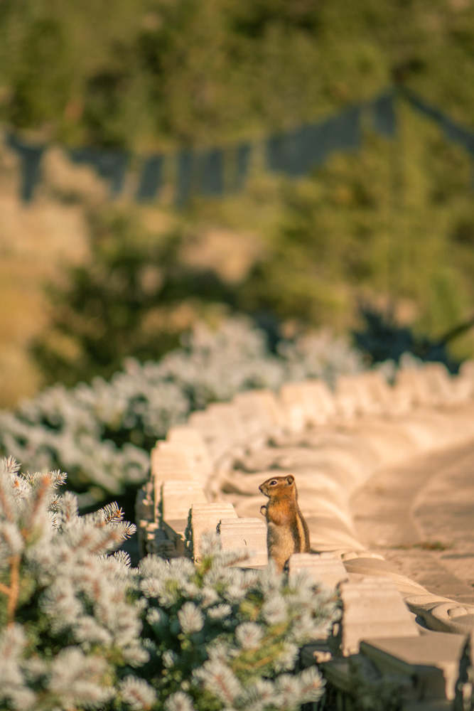 shambala mountain retreat center, 2018