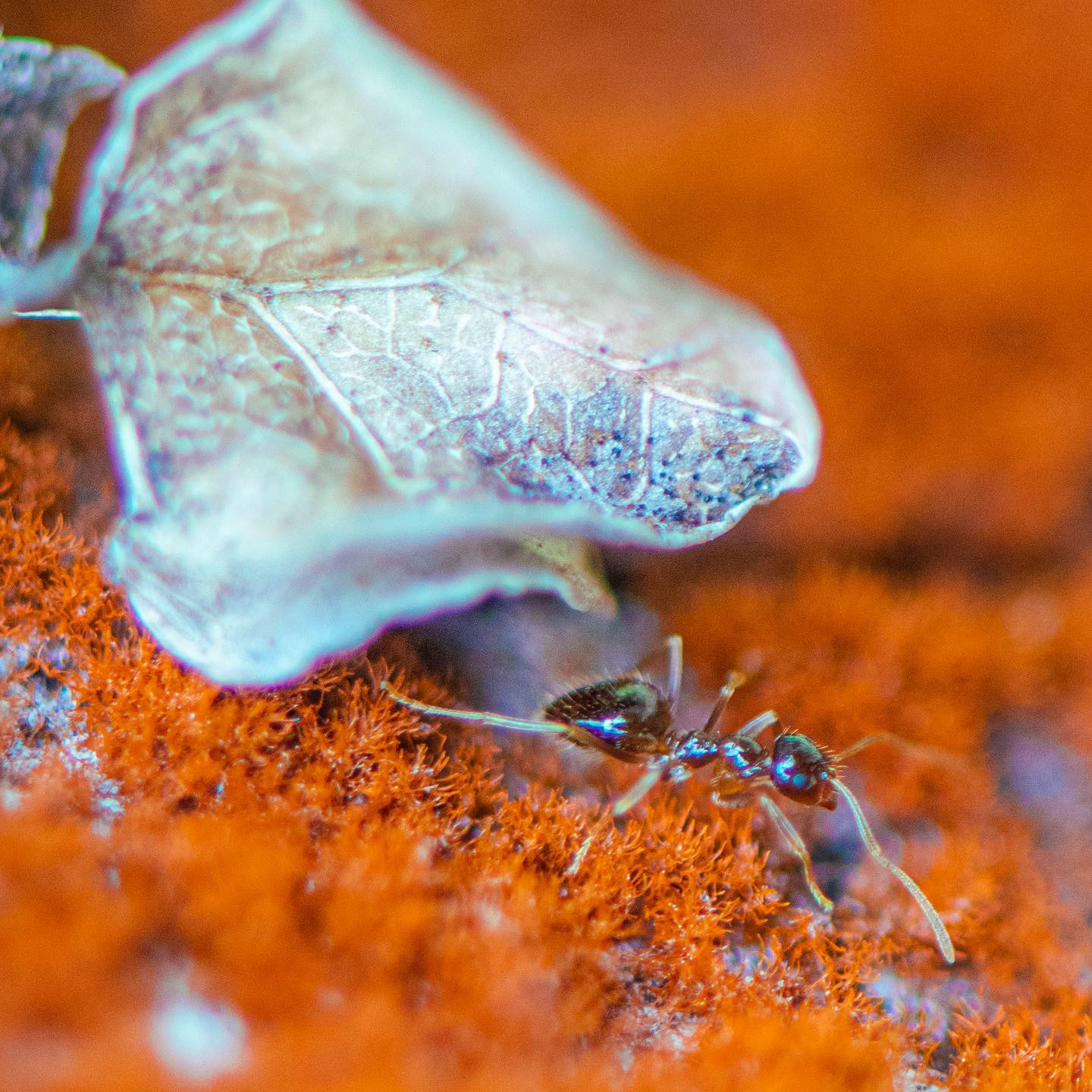 washington park, portland 2023