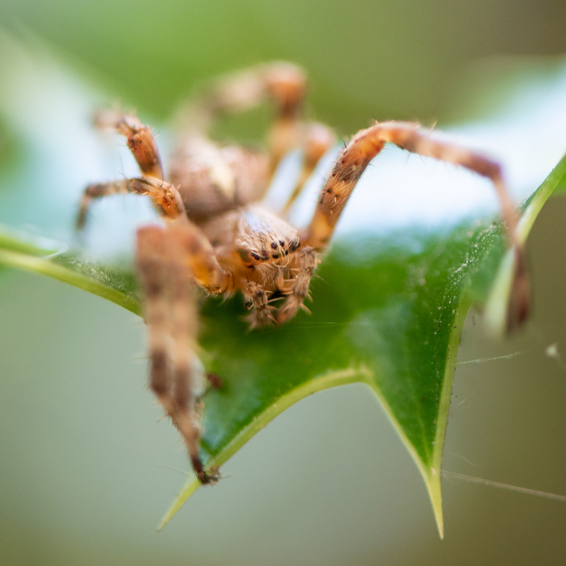 central district, seattle, 2022