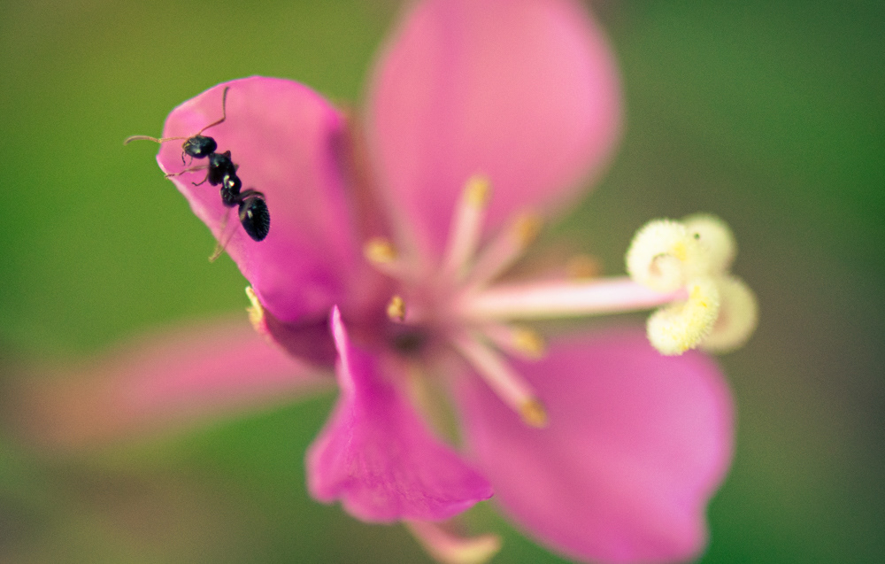 big lake washington, 2021