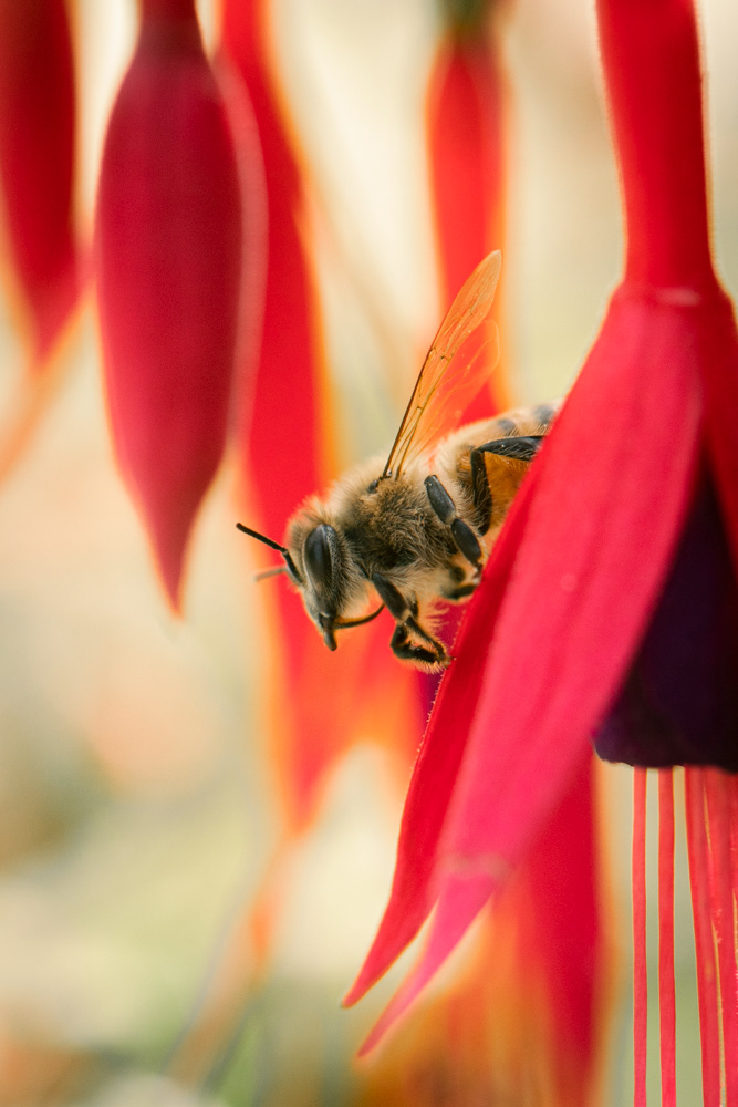 seattle arboretum, 2021