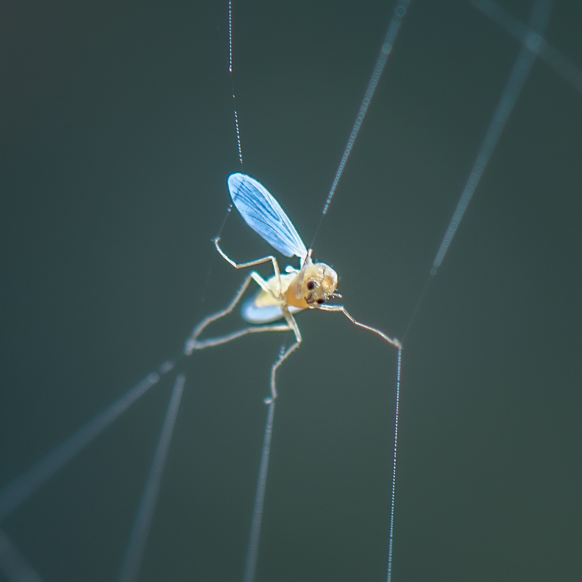 angel's rest, oregon, 2022