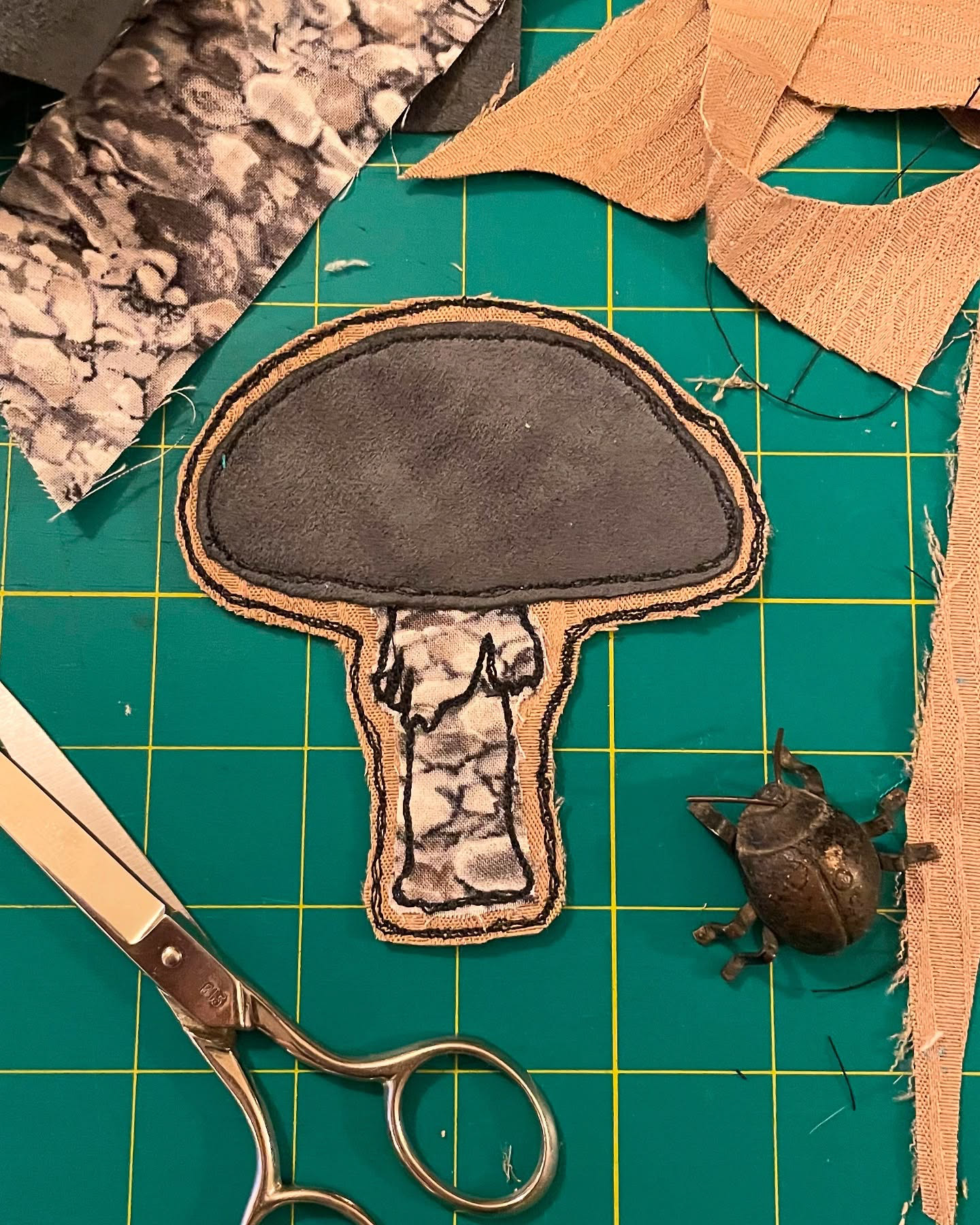 mushroom patch 2025