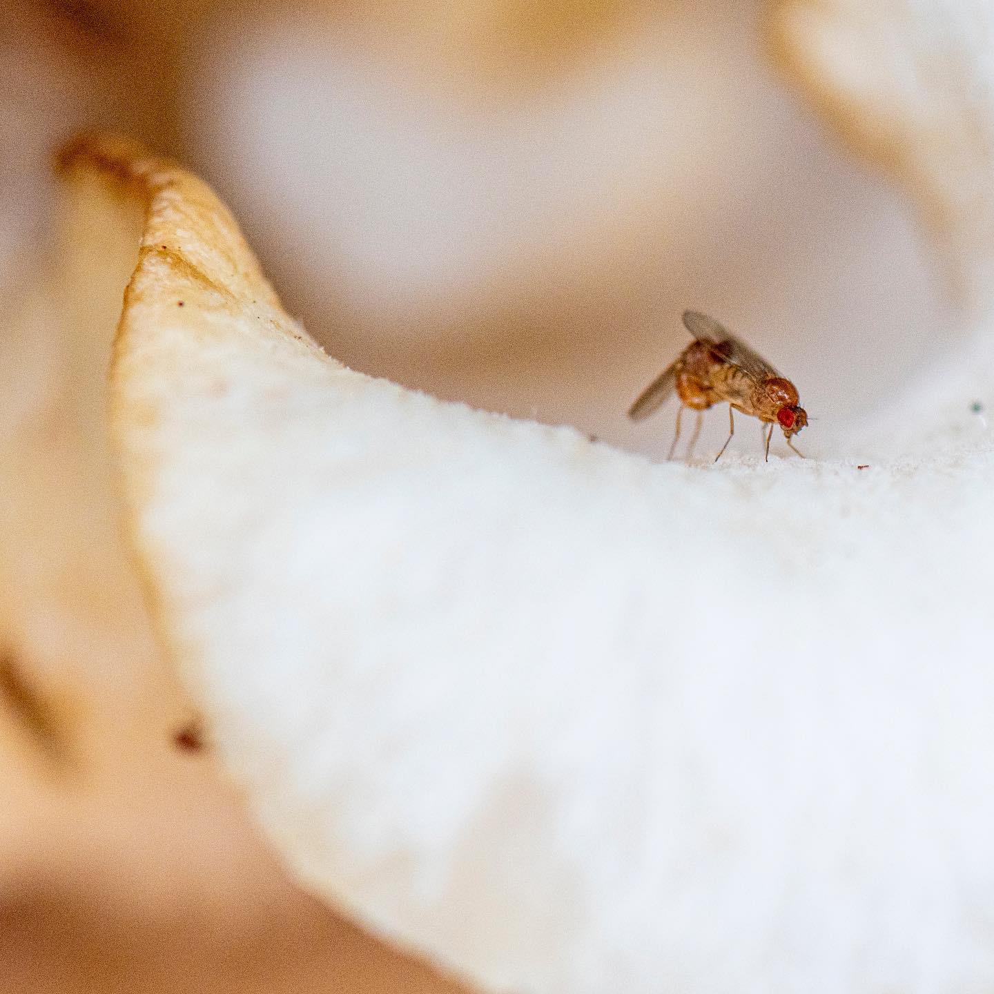 tryon creek, portland 2023