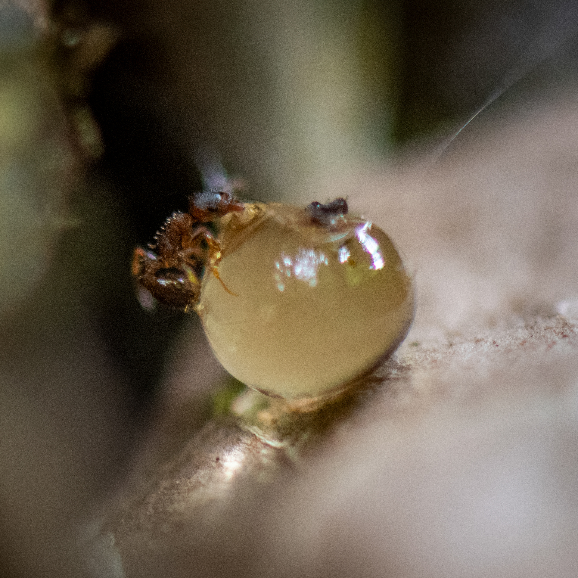 washington park, portland 2024