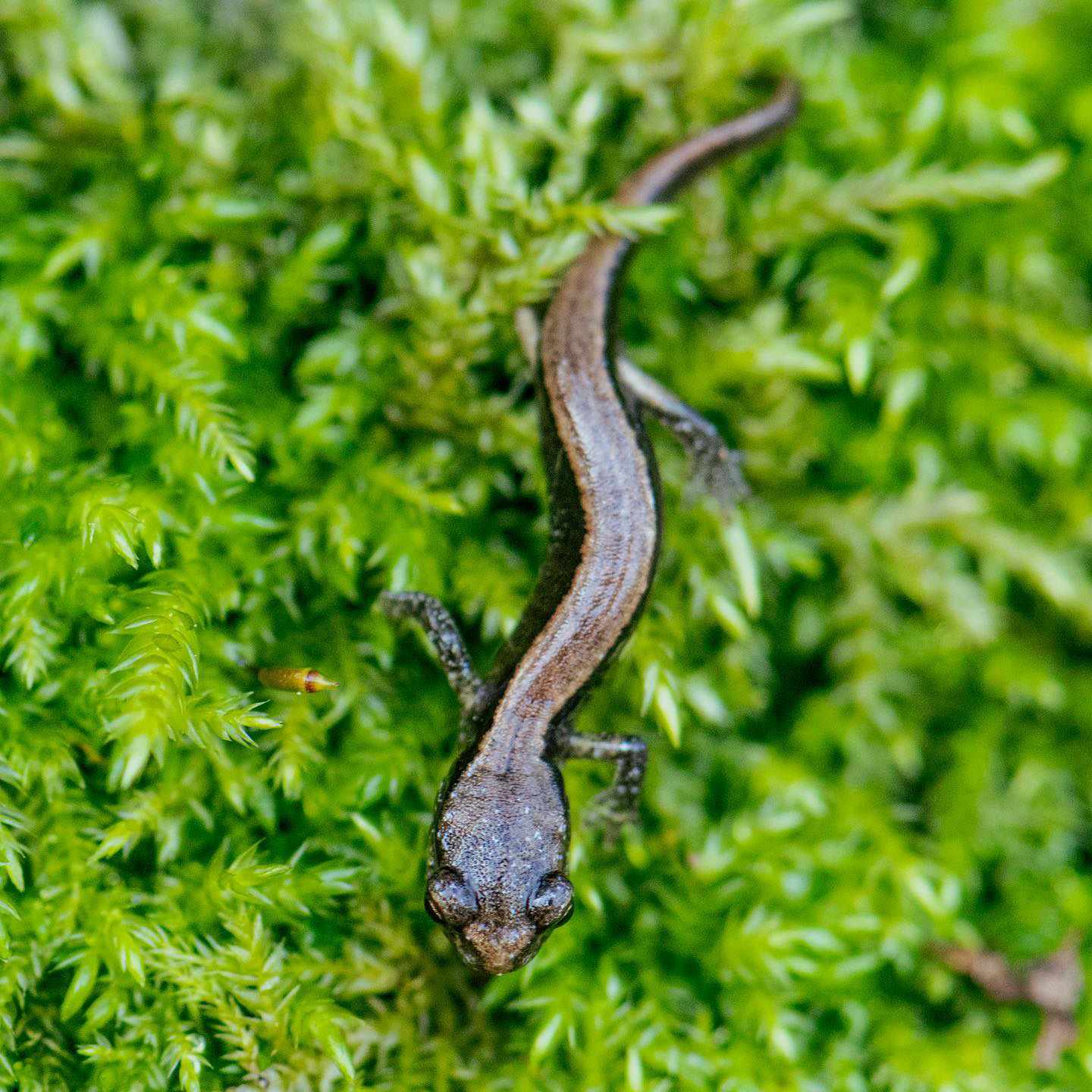 washington park, portland 2023