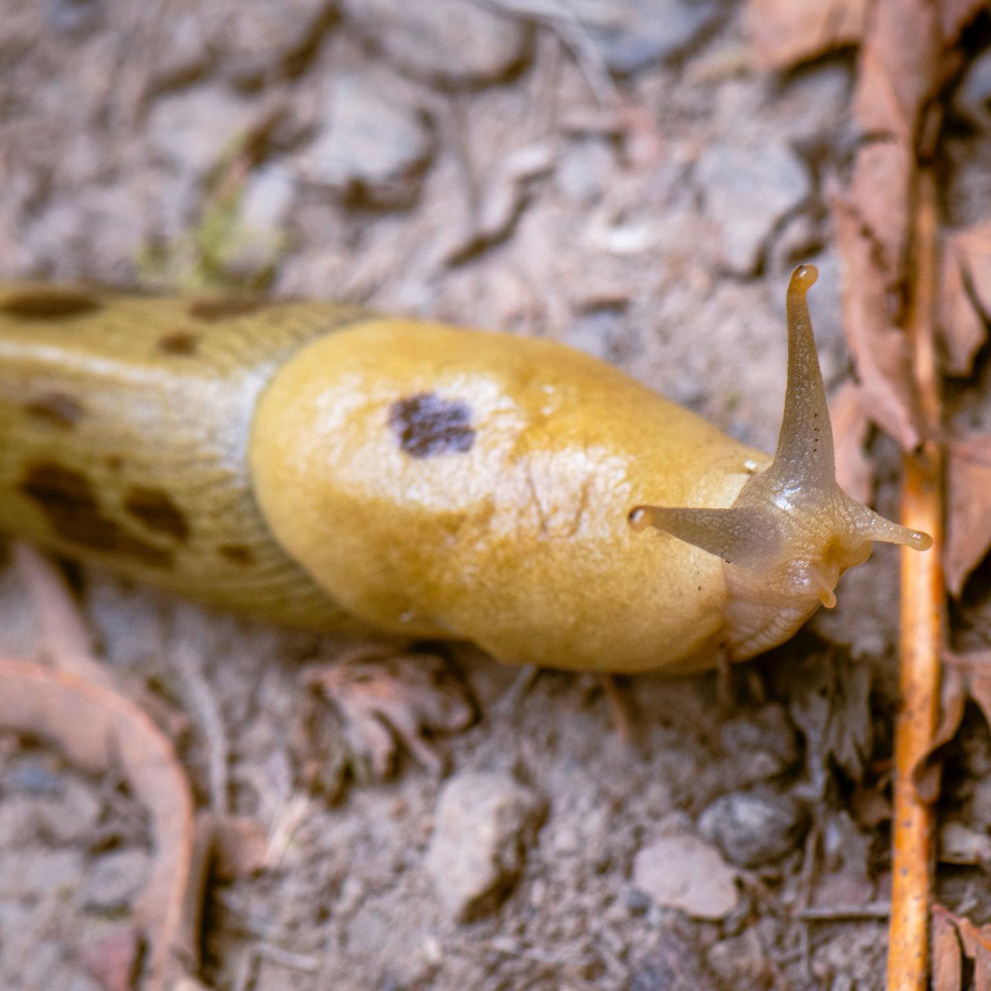 tryon creek, portland 2023