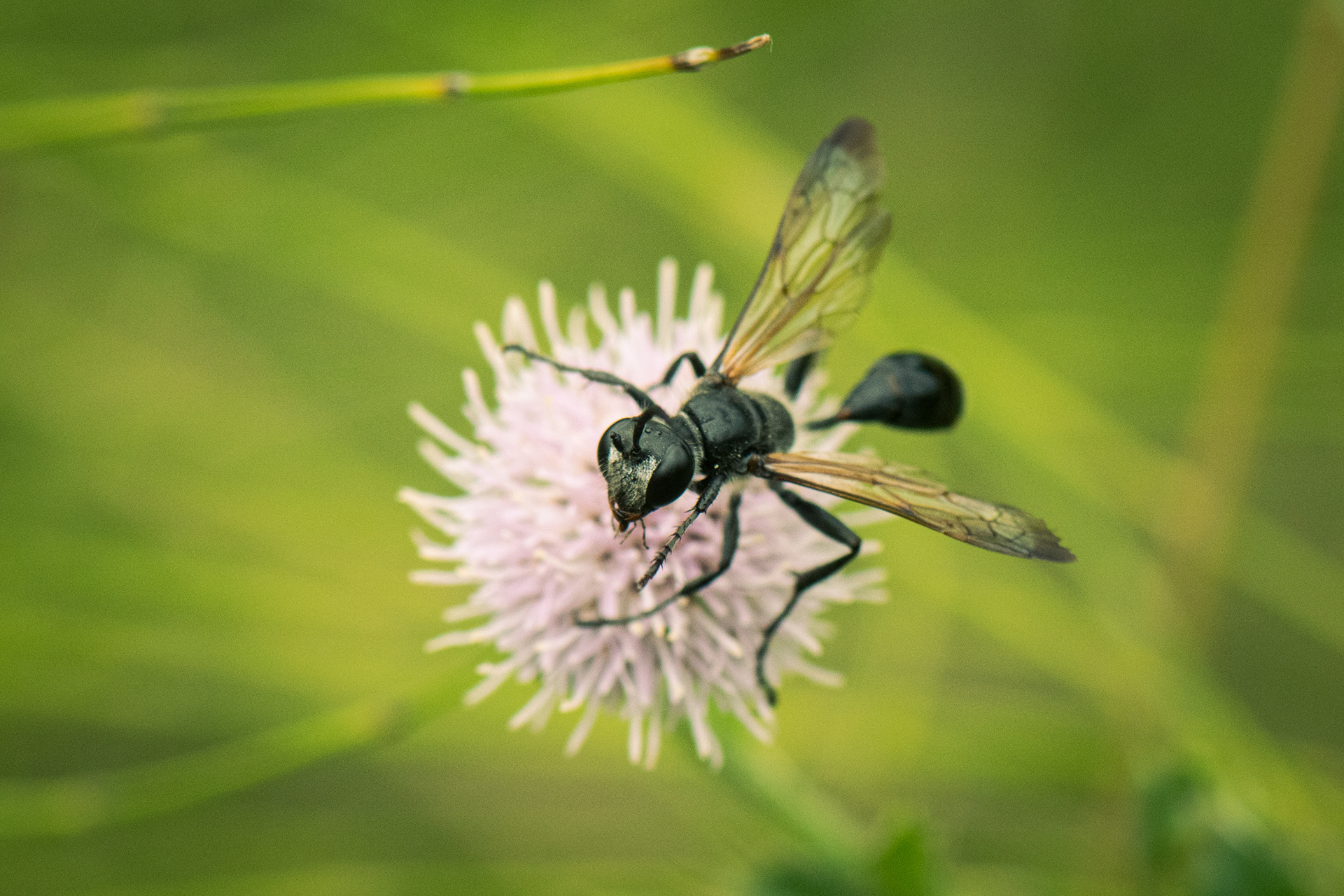 washington park, 2021