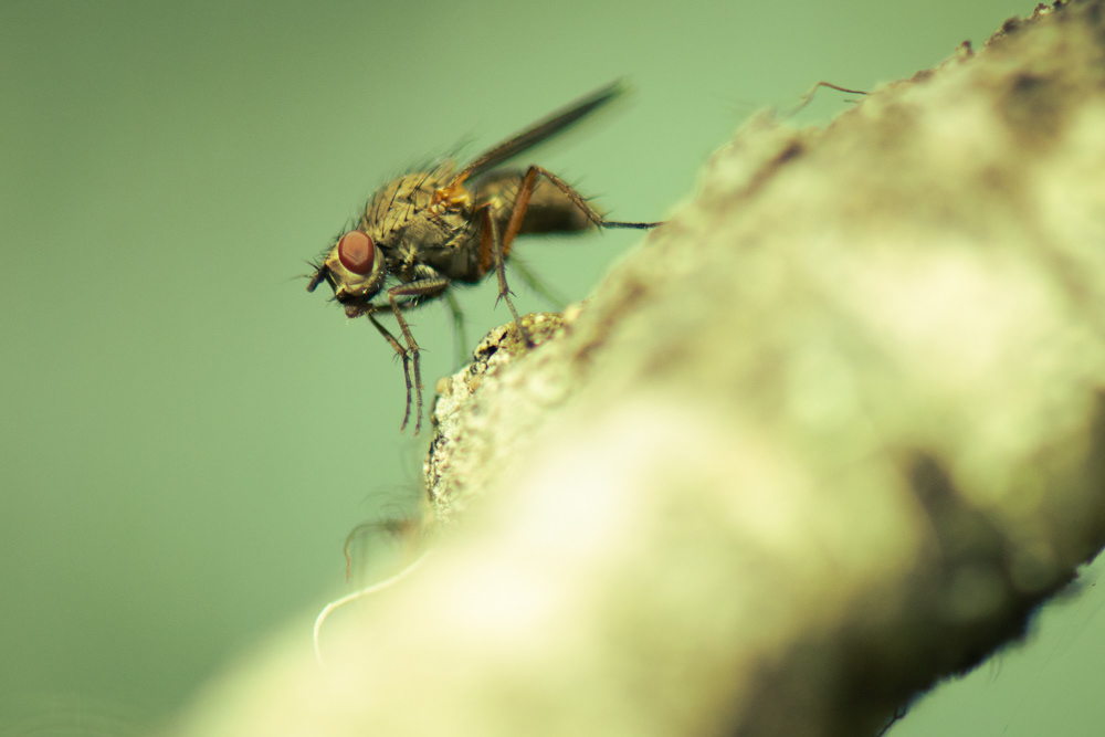 big lake washington, 2021