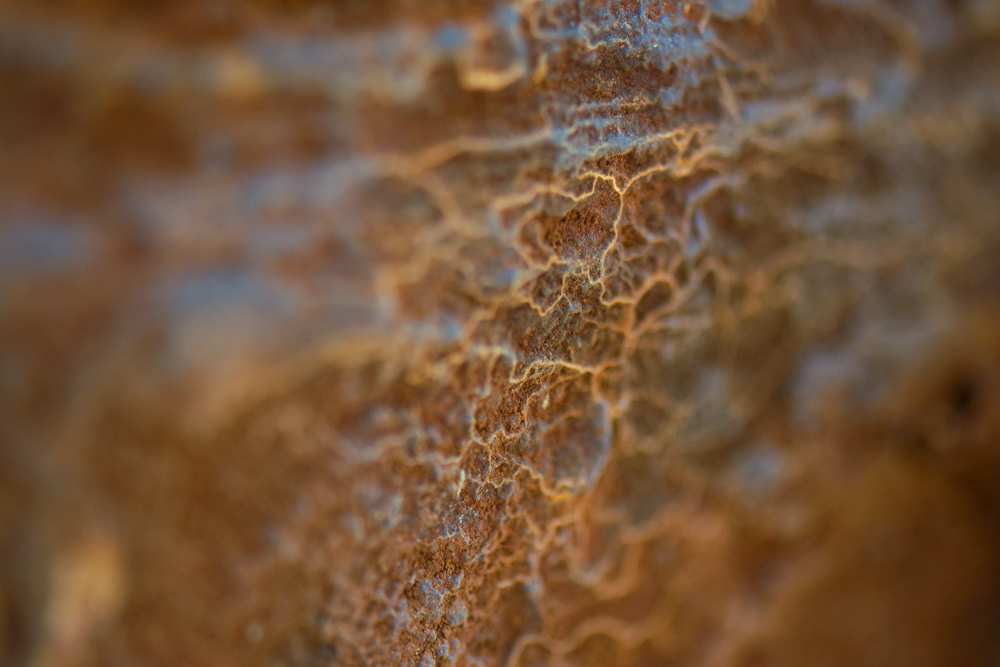 wreck of the peter iredale, 2021