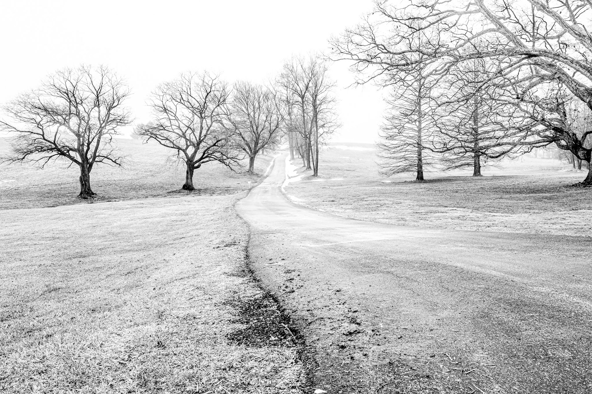 Country Driveway, Hockessin, DE