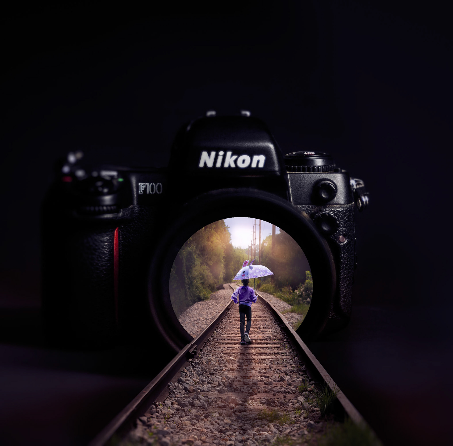 Journey through Lenscape