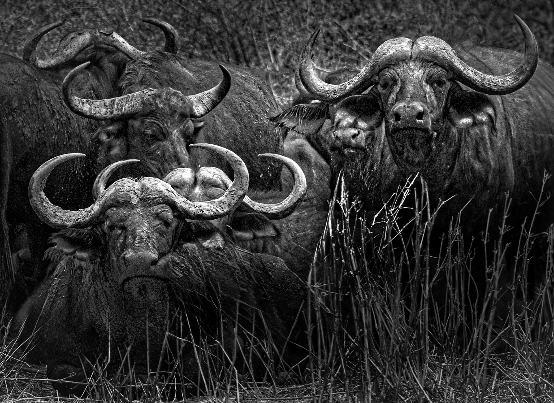 The Magnificant Six - Tanzania