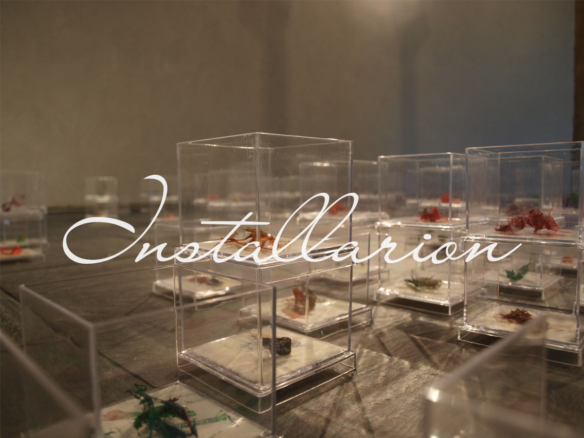 インスタレーション写真