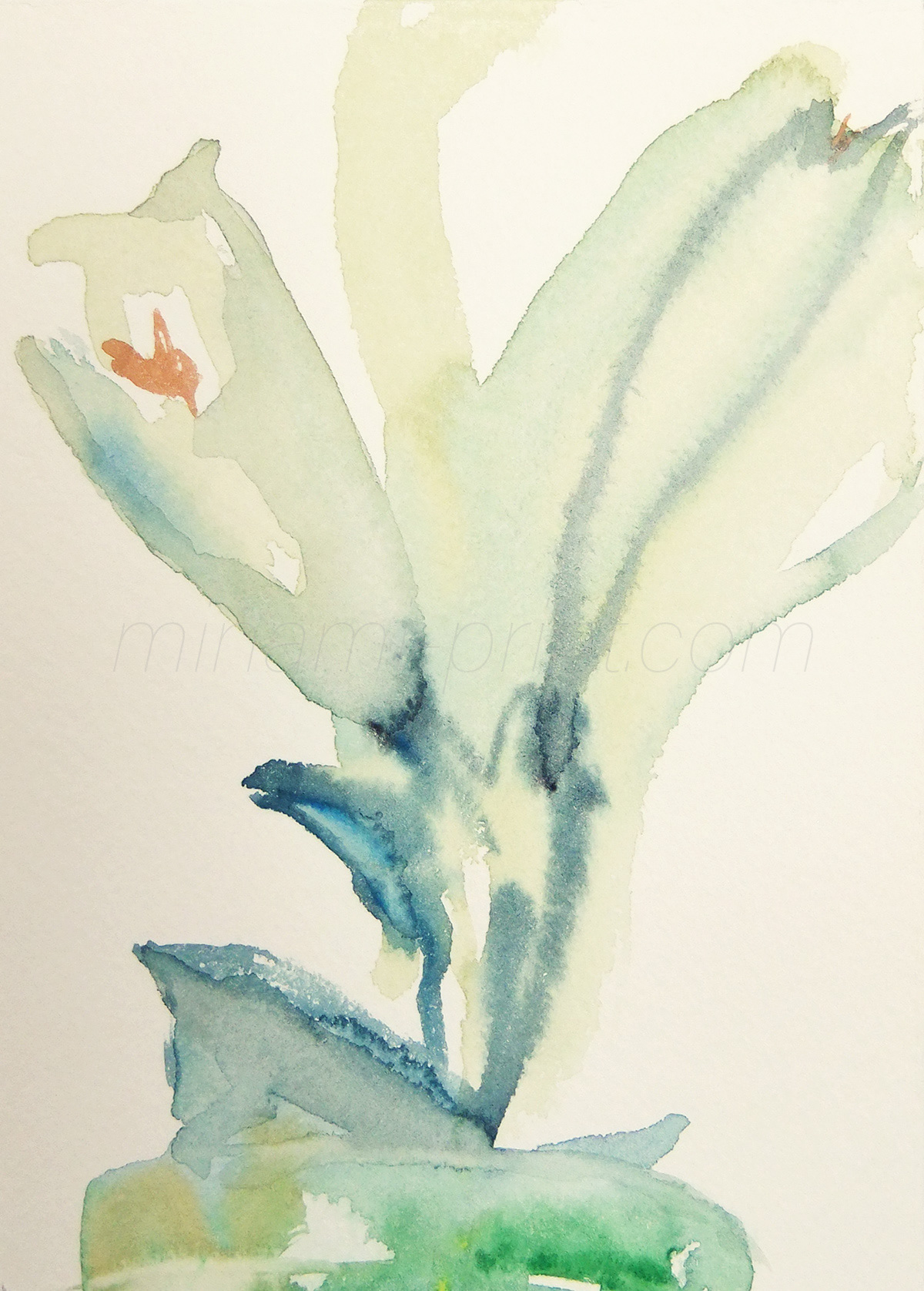 水彩「百合」画像_watercolor lilies image