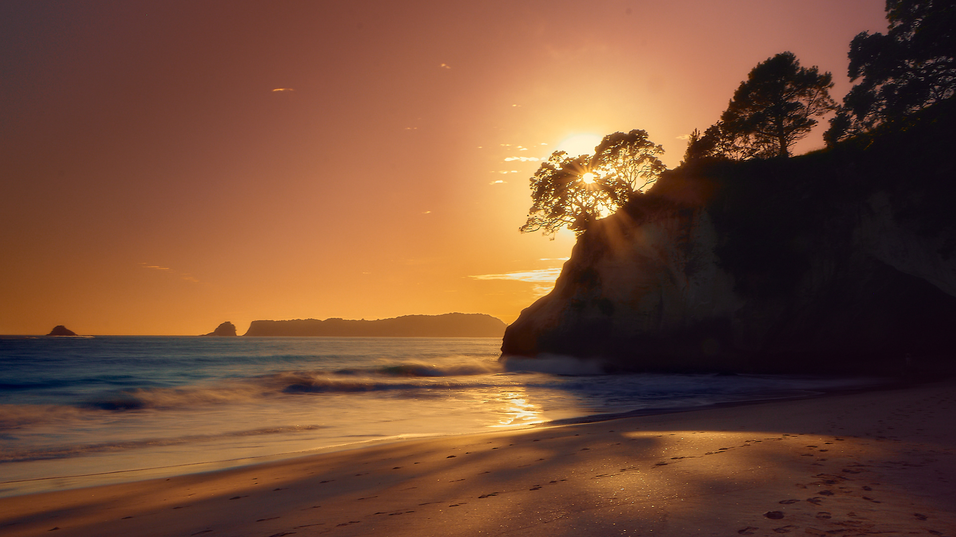 Coromandel, 2022