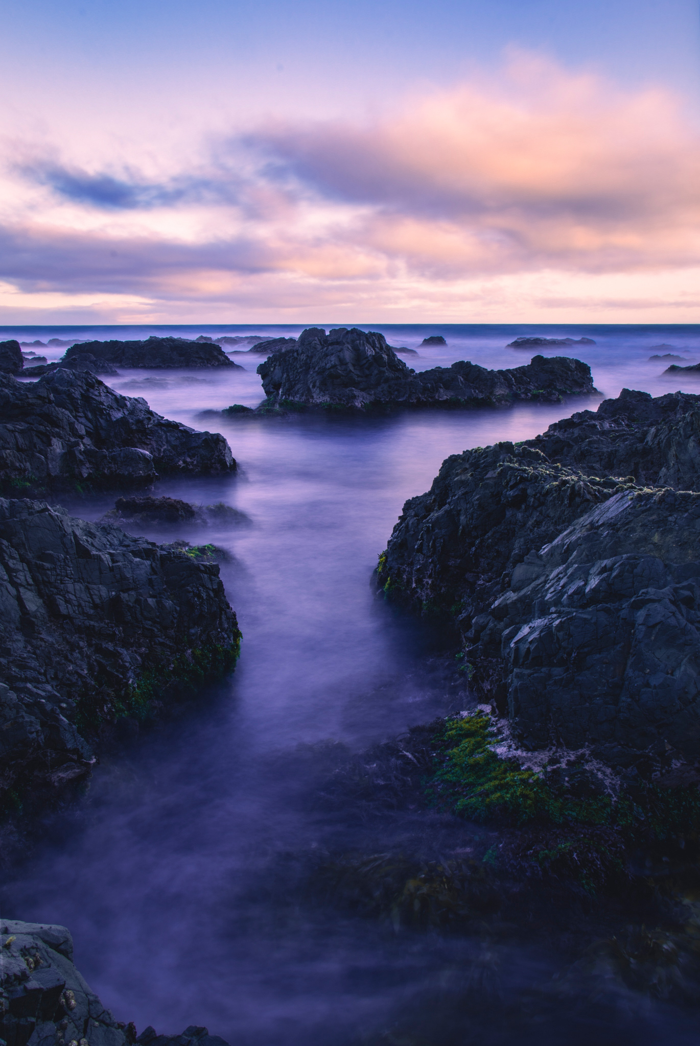 South Coast, Wellington