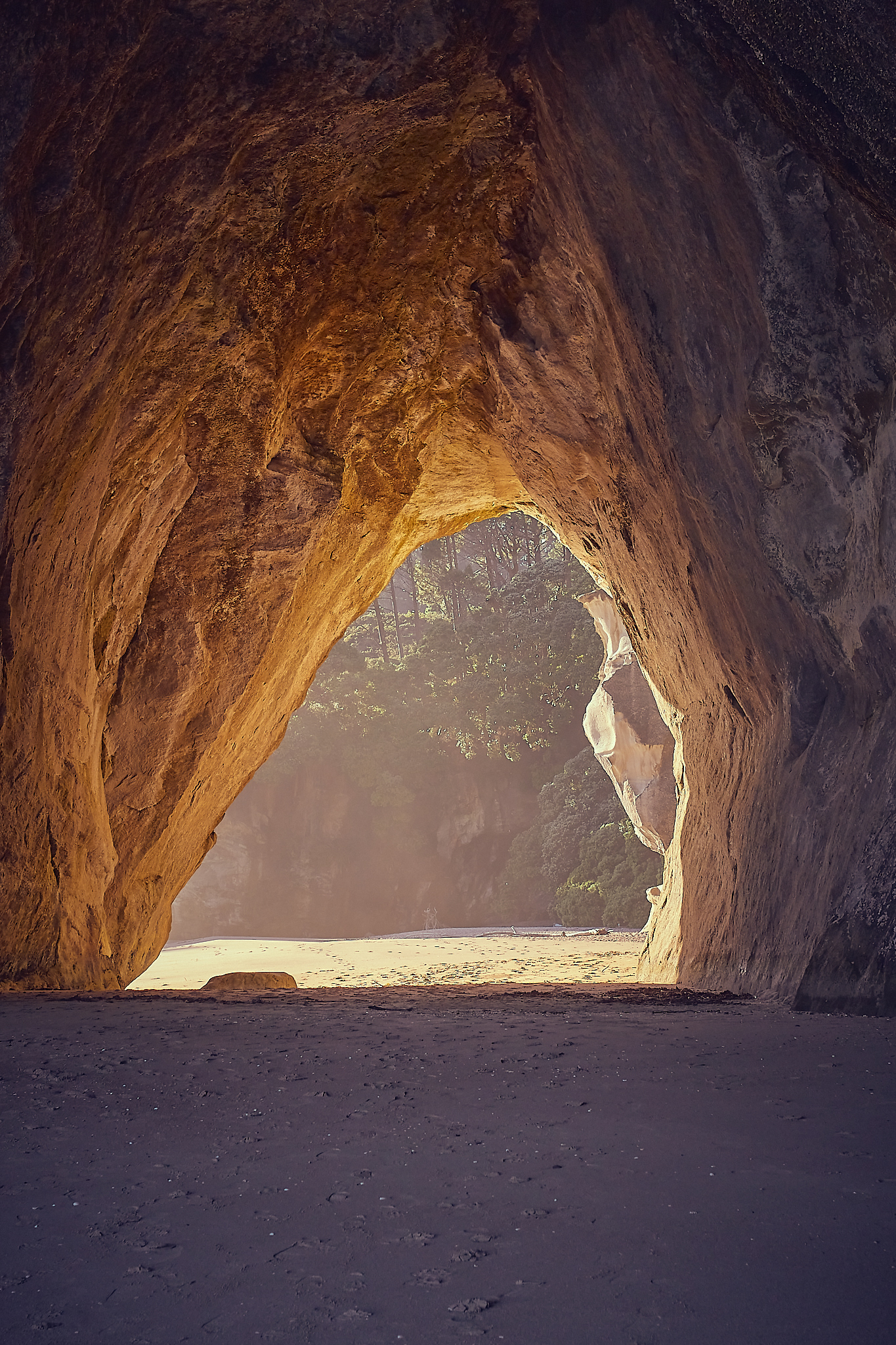 Coromandel, 2022