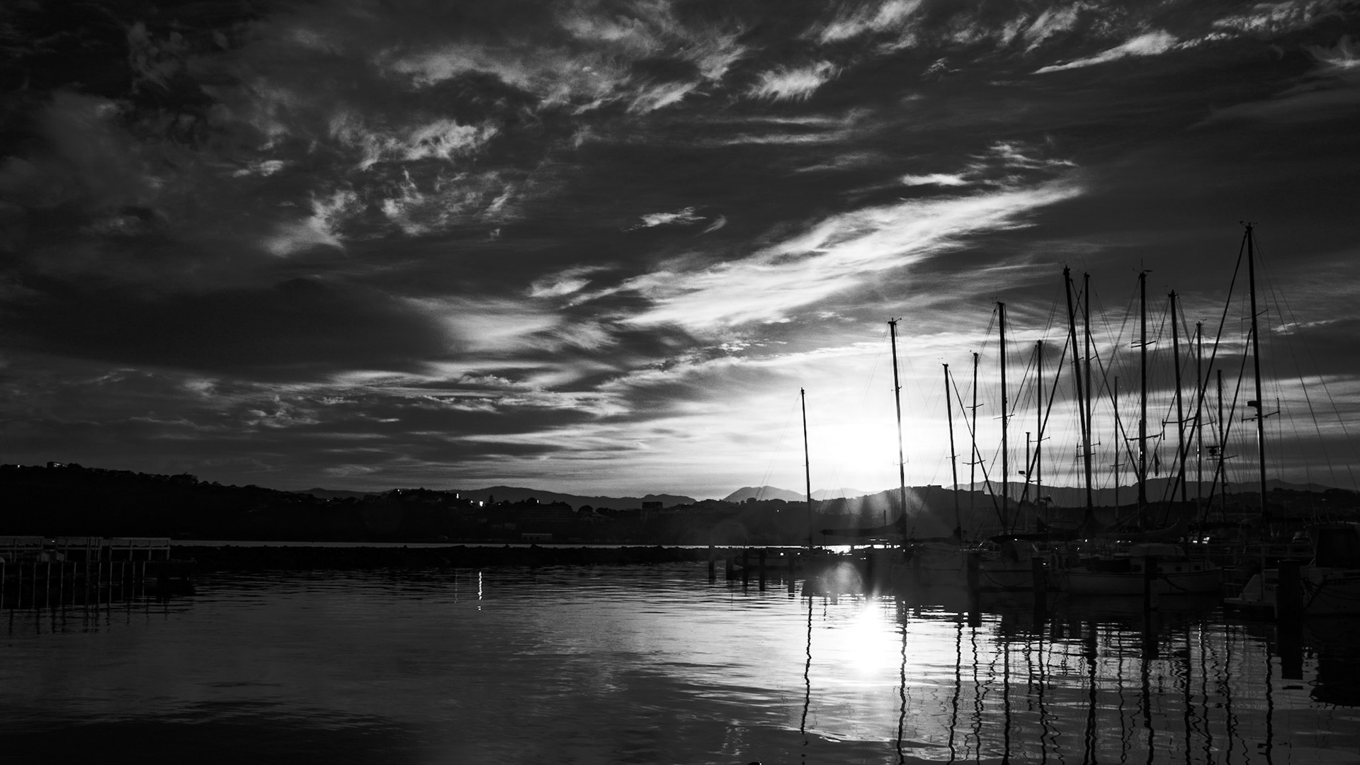 Evans Bay Marina, Wellington