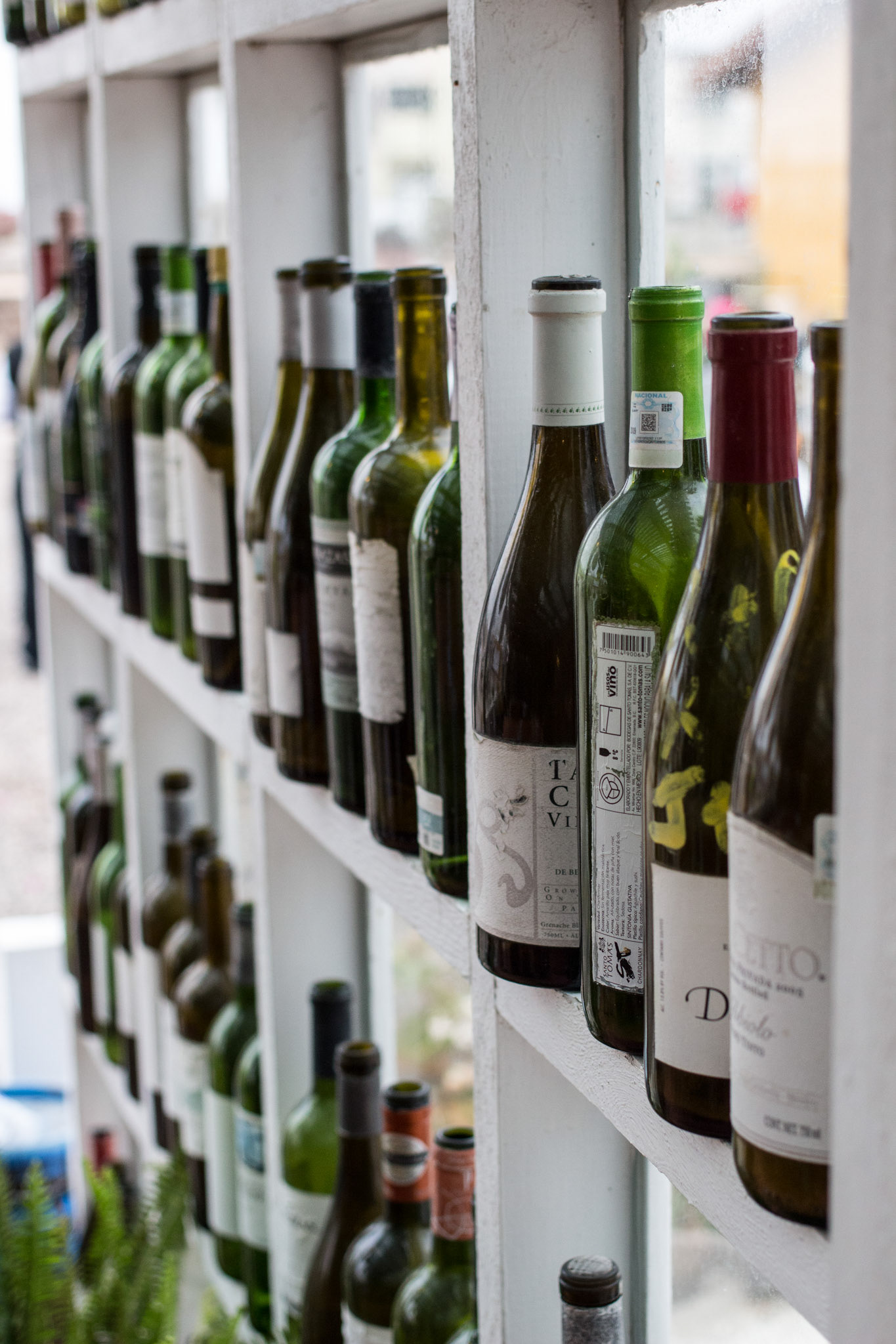 Wine Bottles - Guerro Negro, Baja California Sur, Mexico