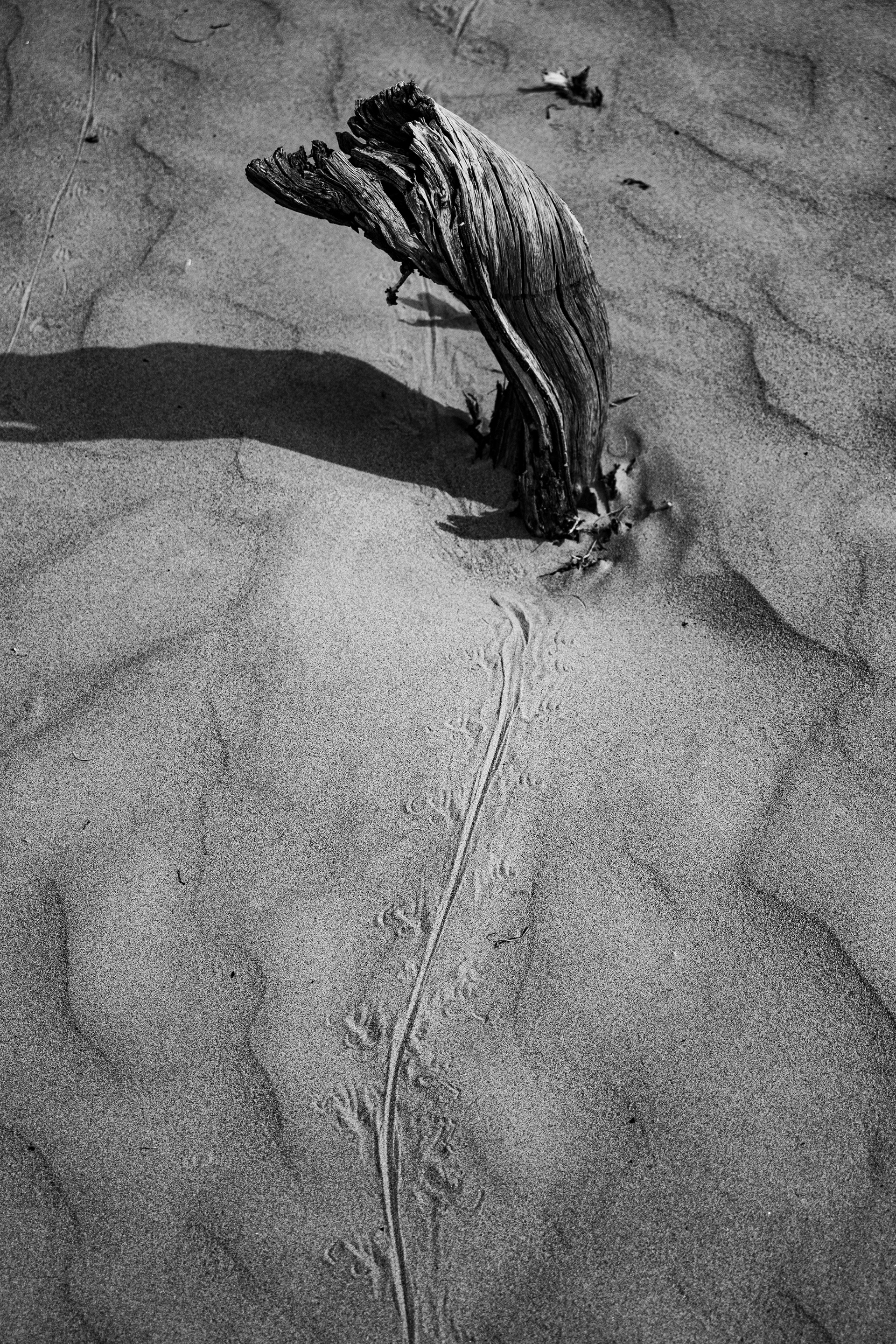 Death Valley, California, USA