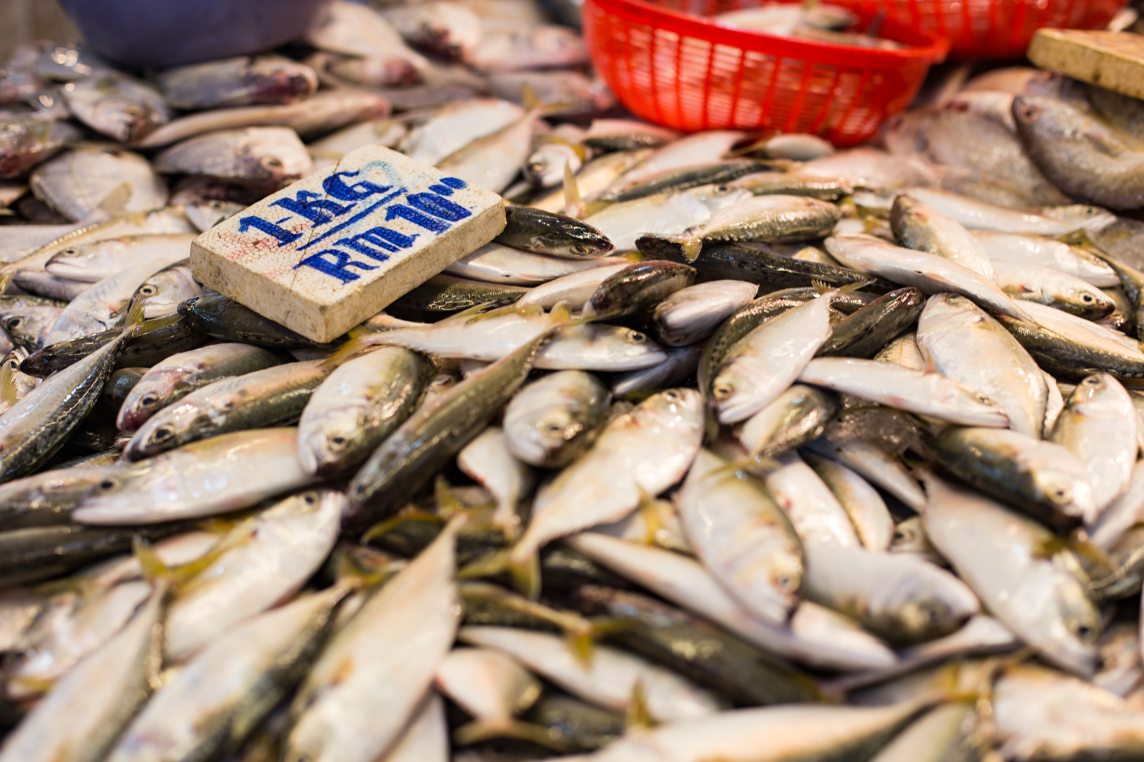 Fish at Market - Kuala Lumpur, Malaysia