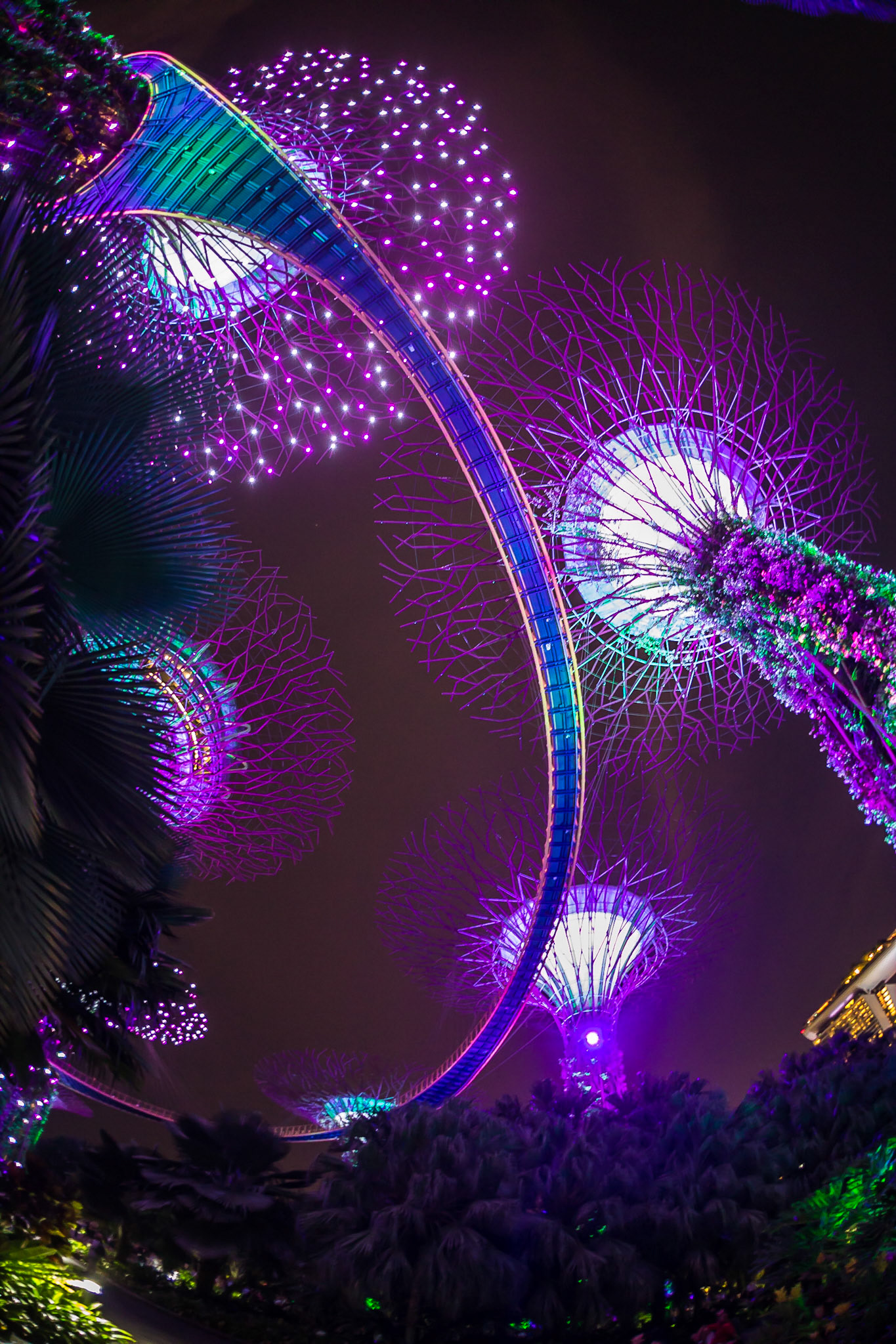 SuperTrees - Singapore
