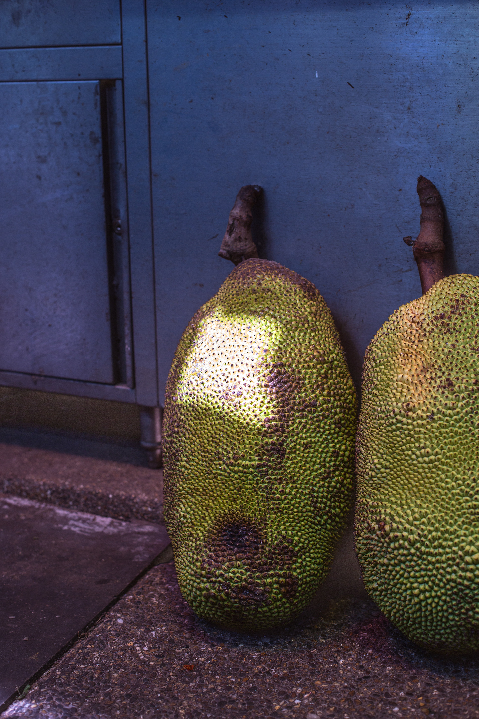 Jackfruit - Kuala Lumpur, Malaysia
