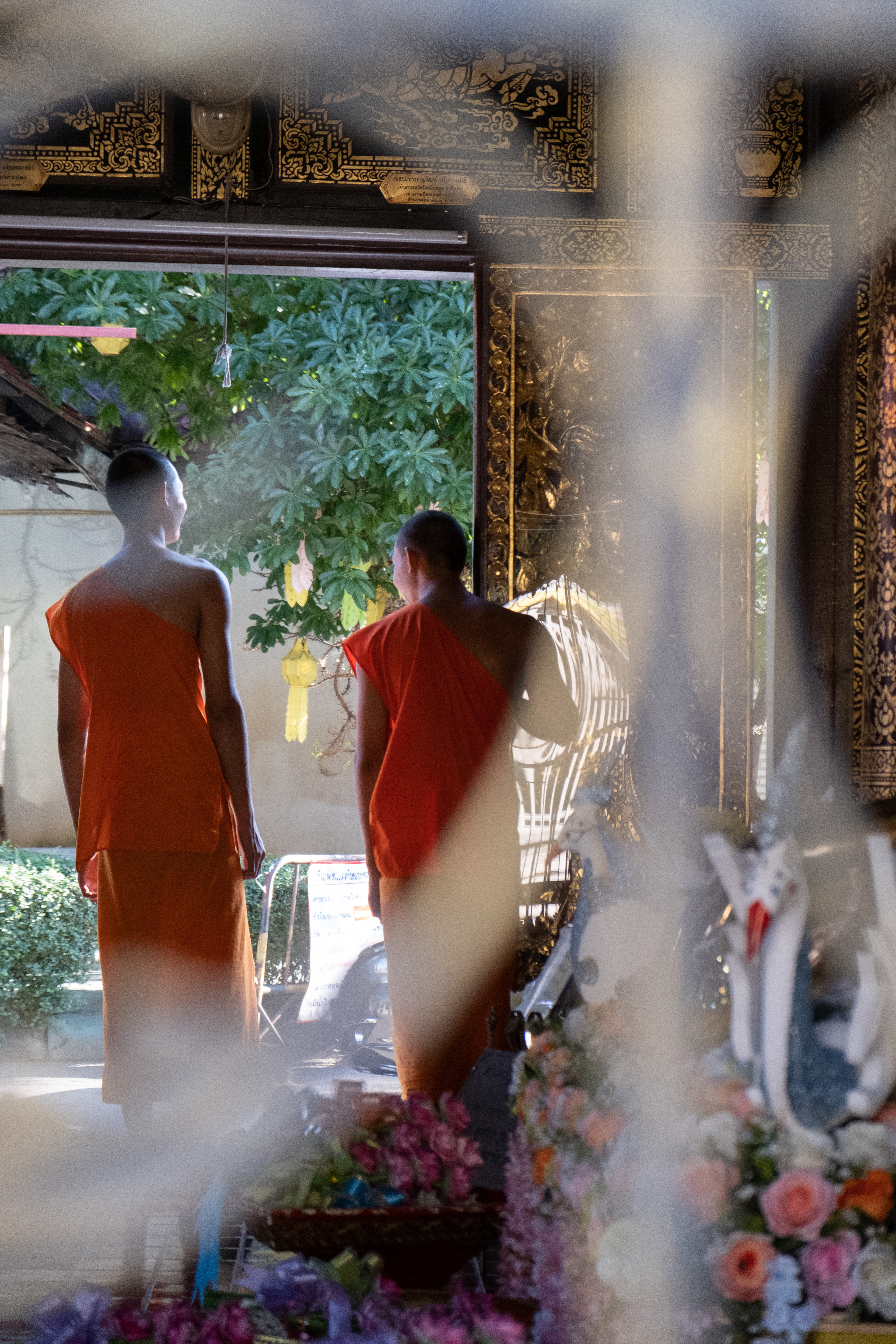 Monks - Chiang Mai, Thailand