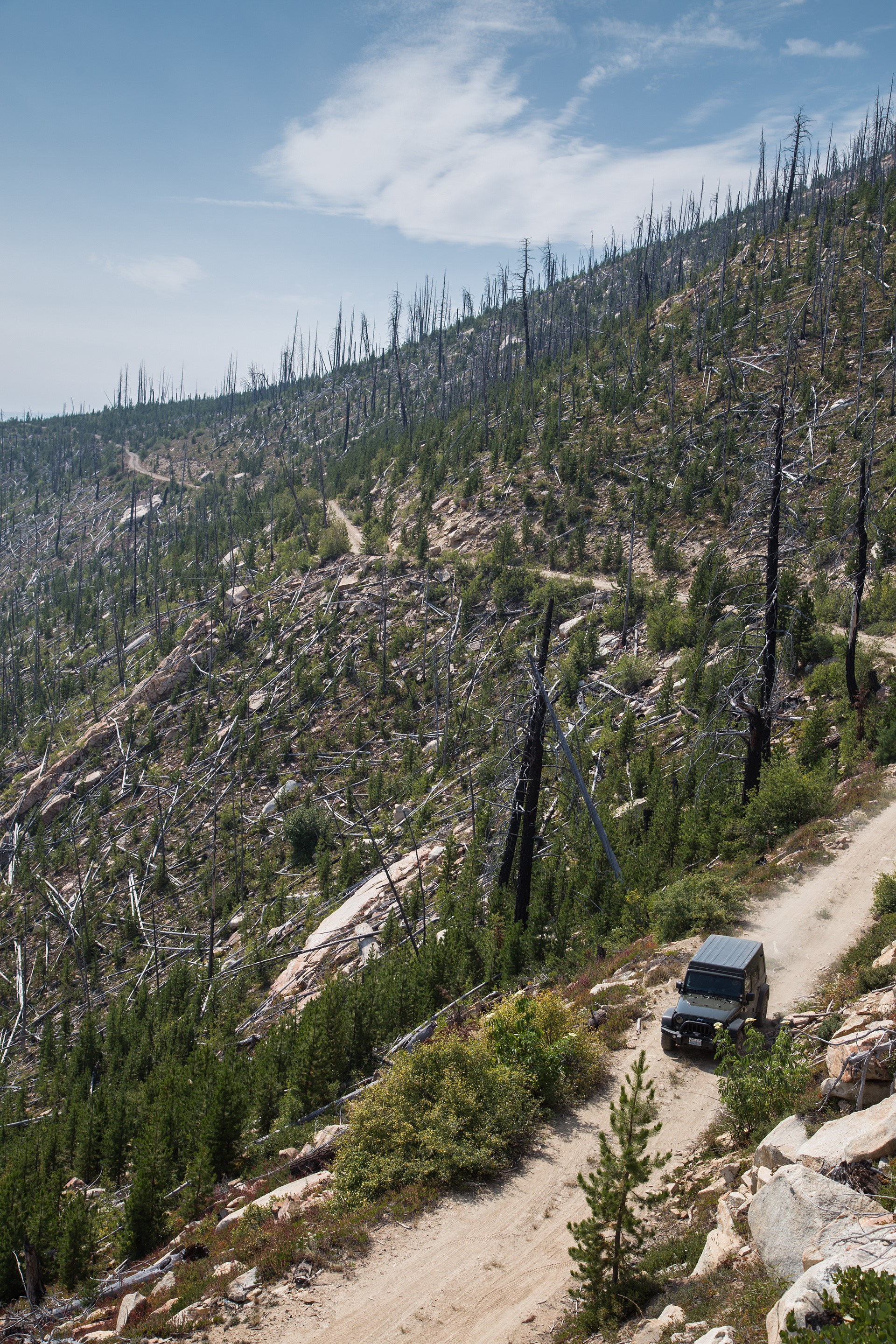 Washington State, USA