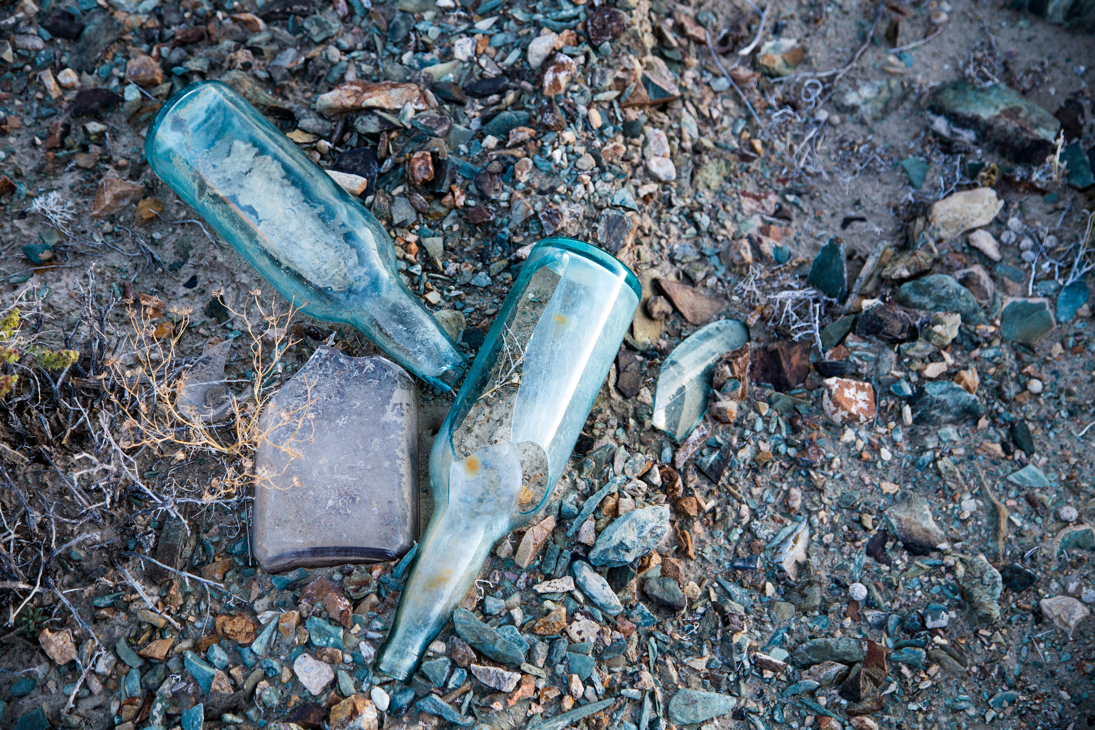 Bottles in the desert - Nevada, USA