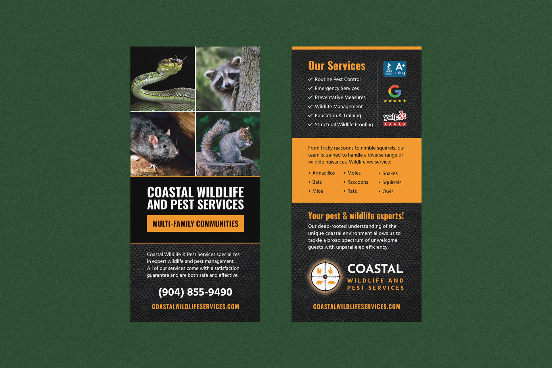 Coastal Wildlife Services Rack Card | Print Design