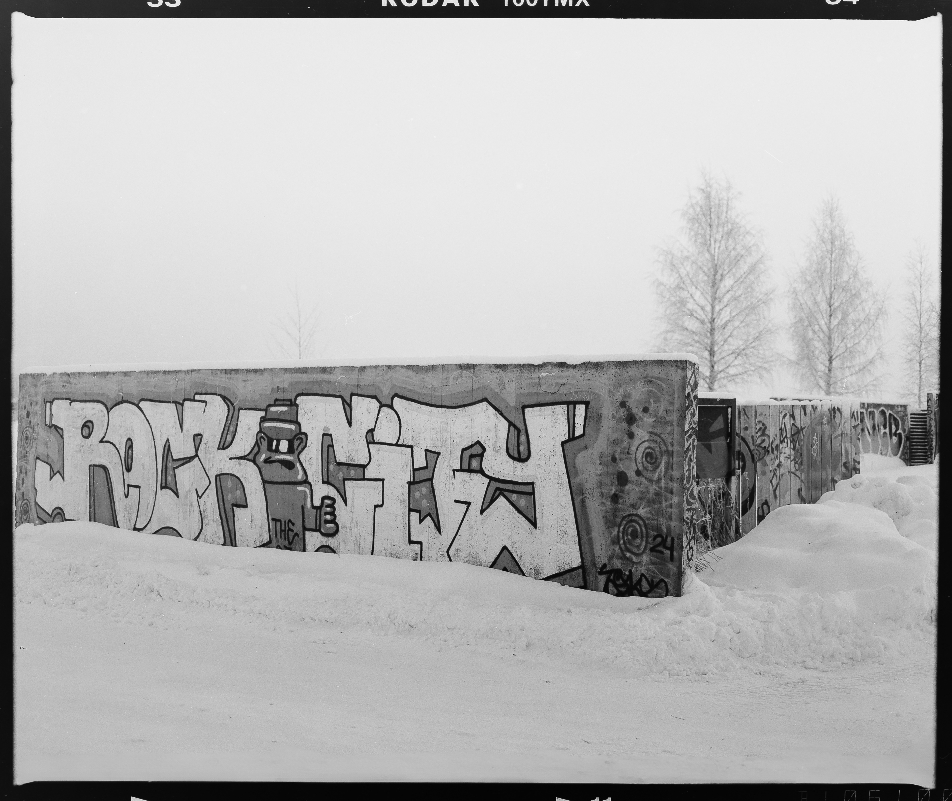 Mamiya RB67 + Kodak T-Max 100