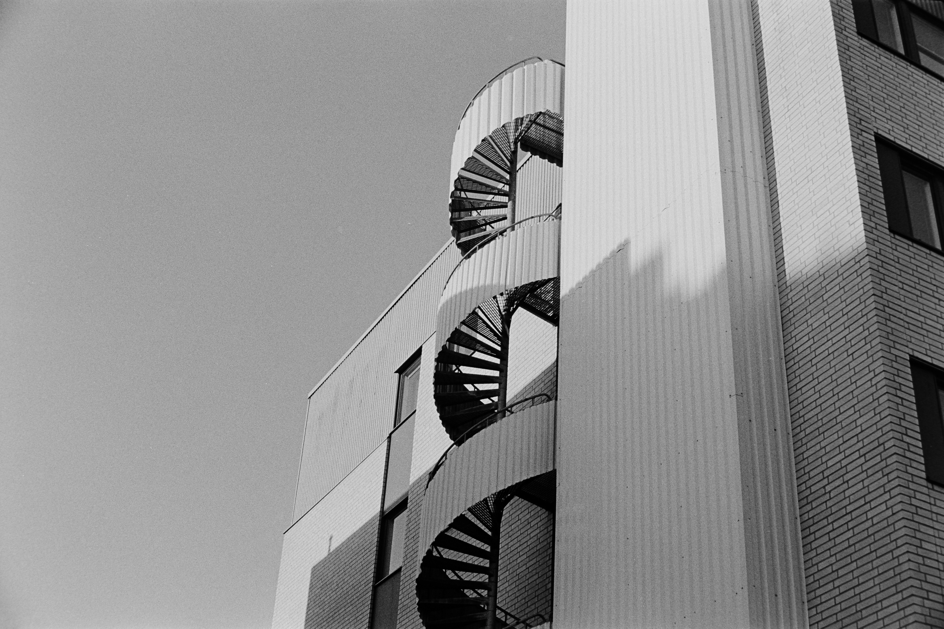 Konica IIIA 50mm F1,8 + TRI-X 400