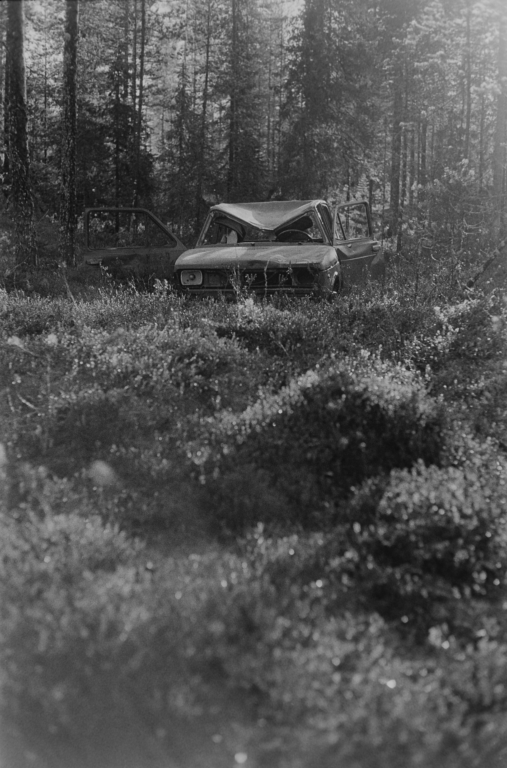 Konica IIIA + Tri-X 400