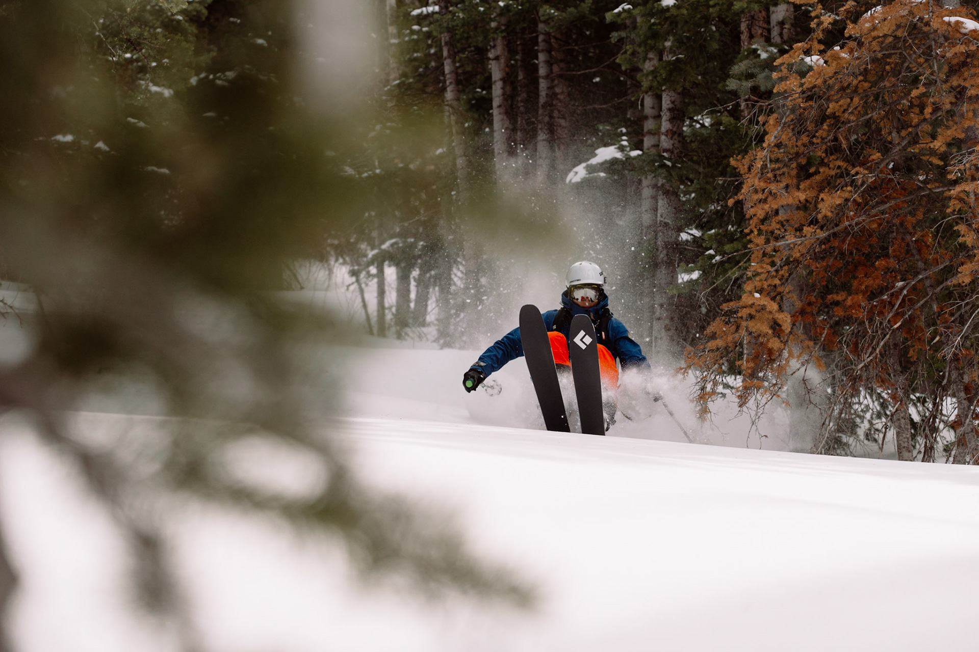 Skier Antte Lauhamaa