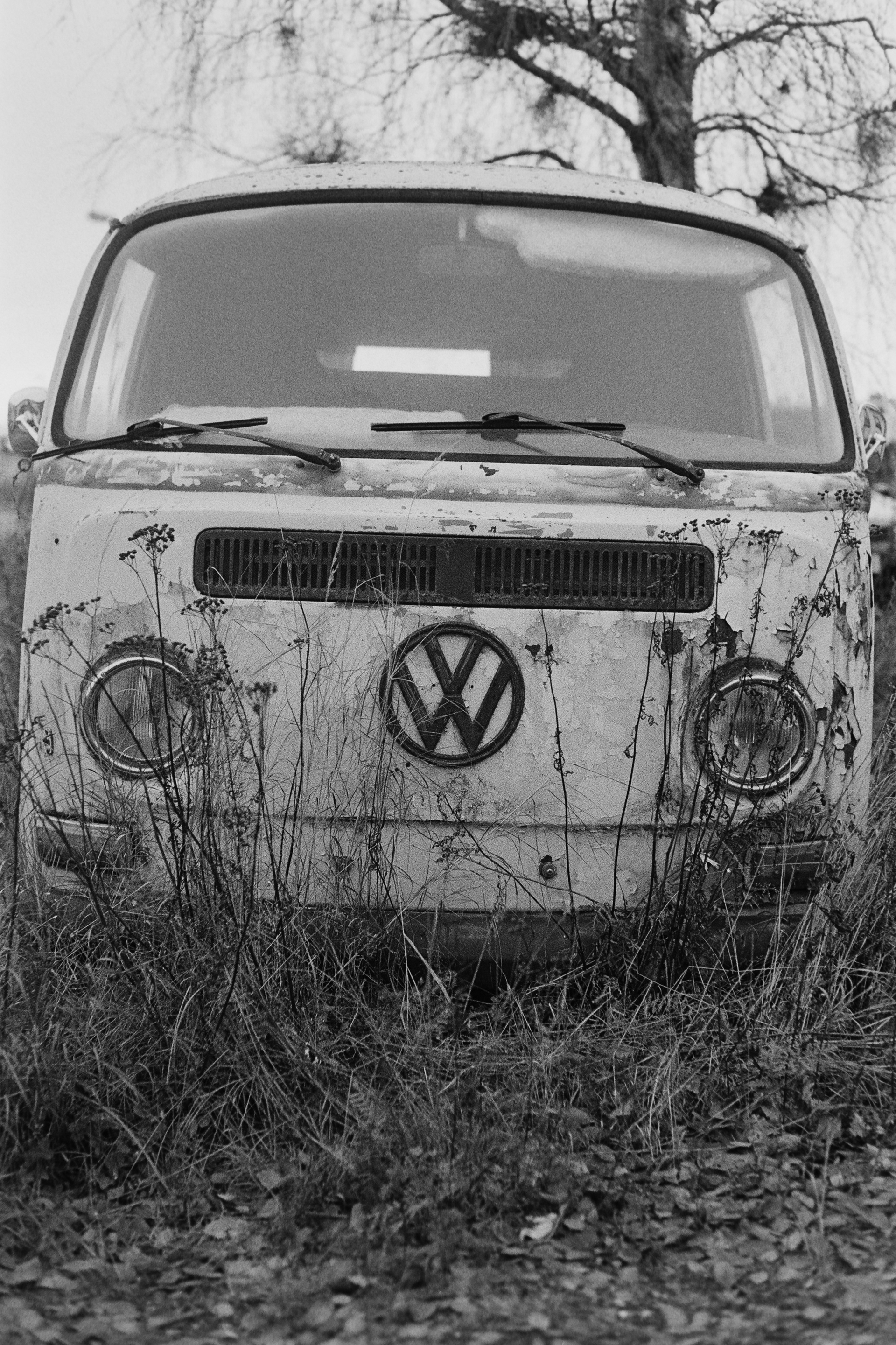 Konica IIIA 50mm f1,8 + Ilford HP5+ 400