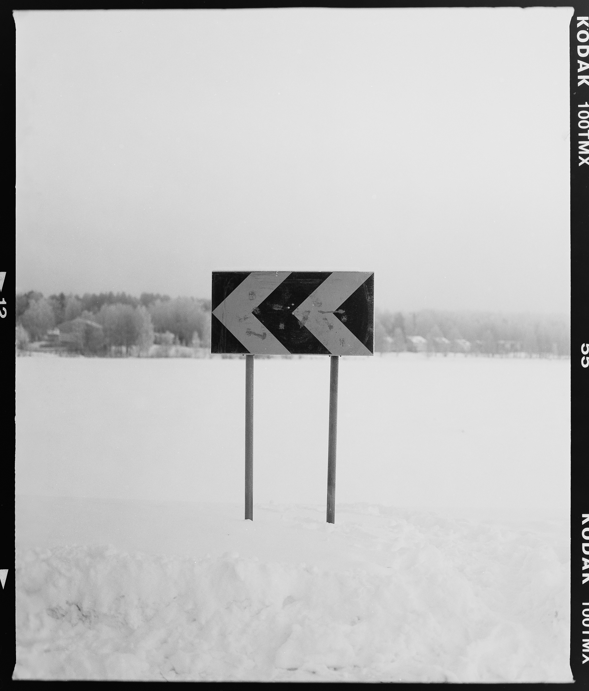 Mamiya RB67 + Kodak T-Max 100