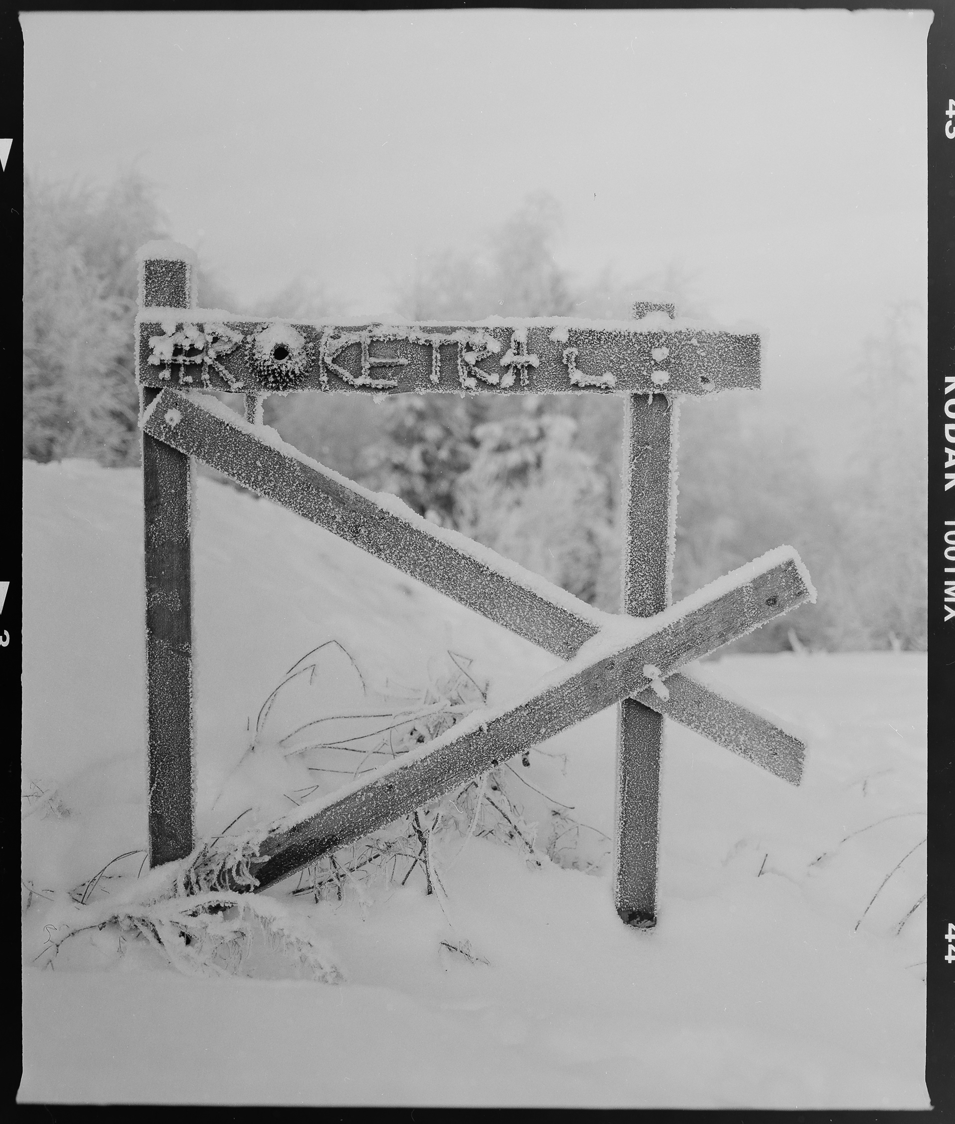 Mamiya RB67 + Kodak T-Max 100