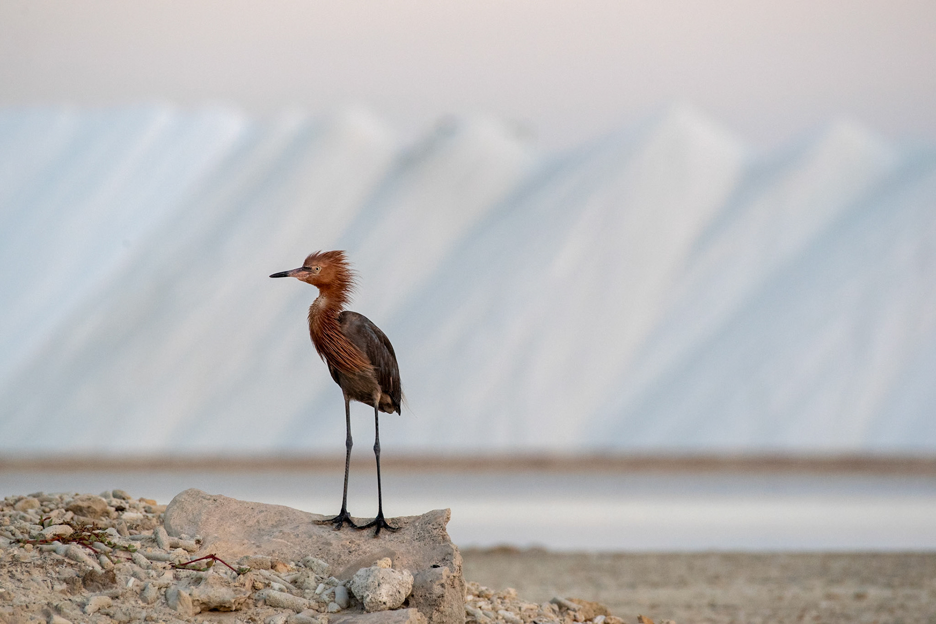 Bonaire
