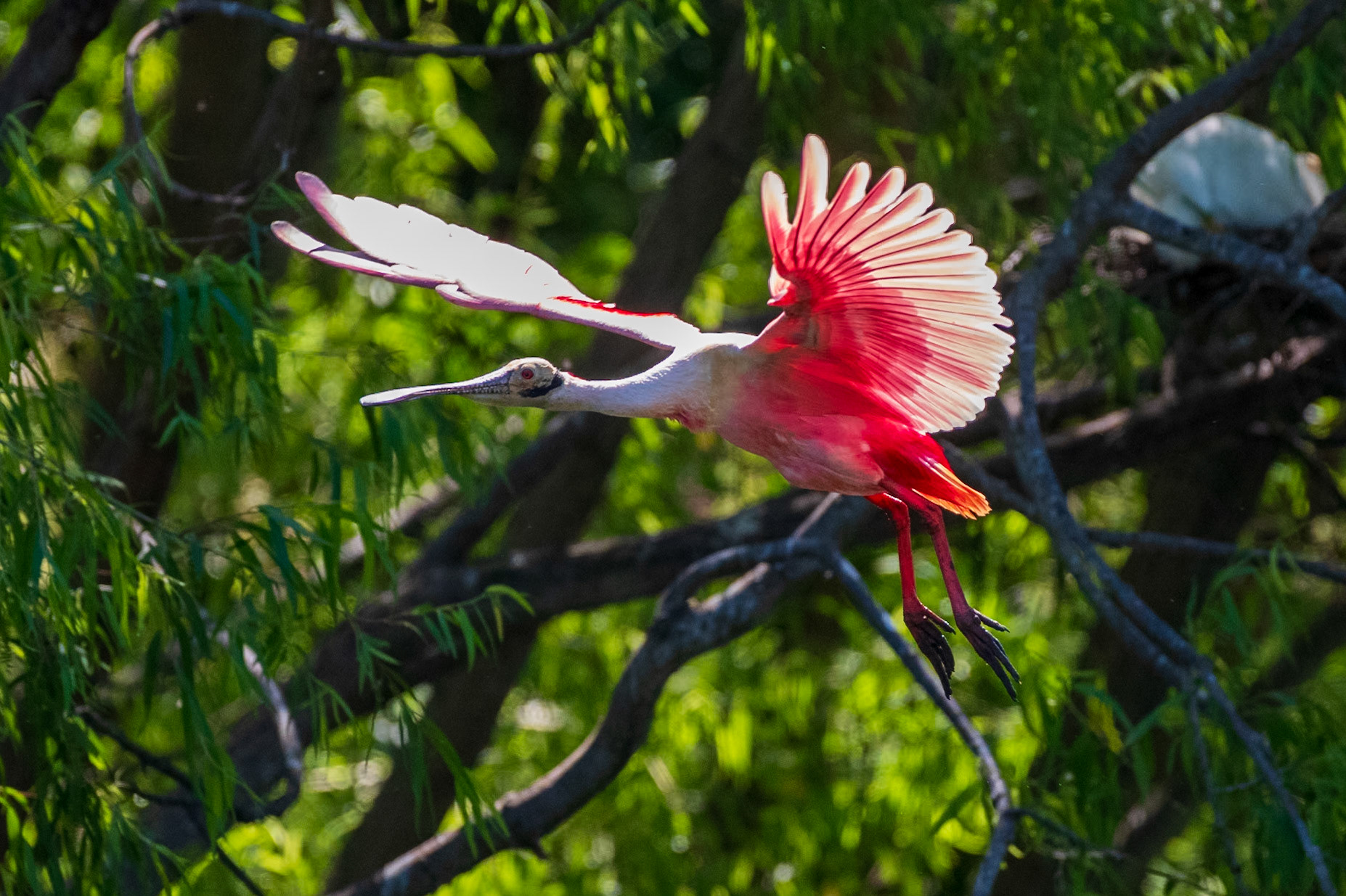 High Island Texas