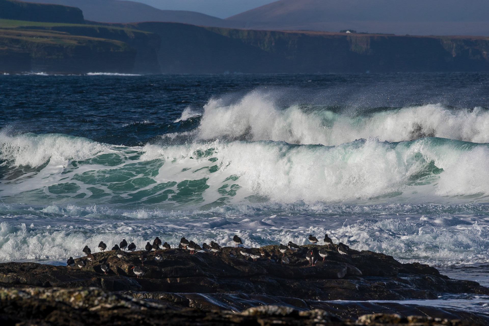 Ireland